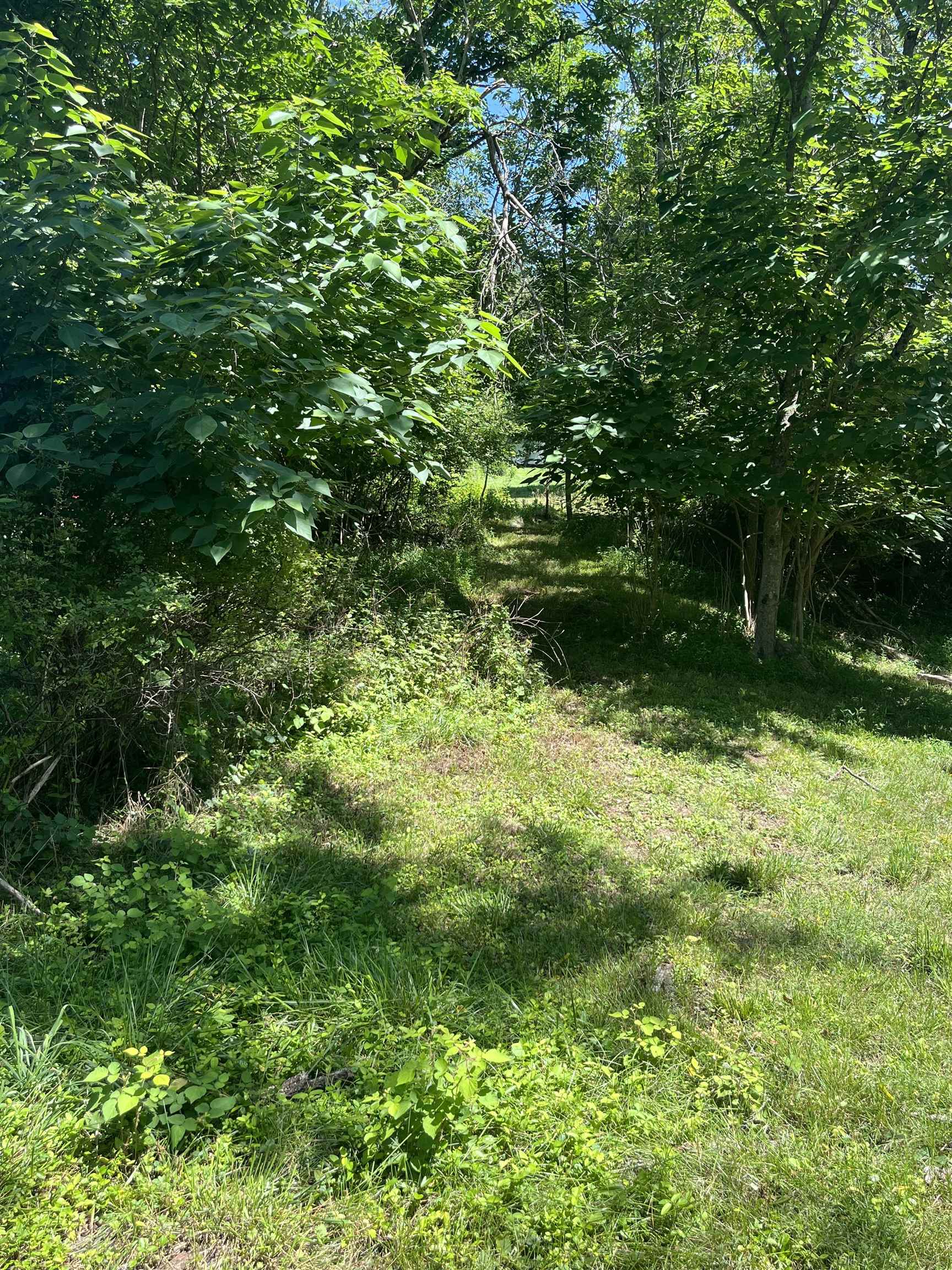 5396 Graysontown Road Radford VA 24141