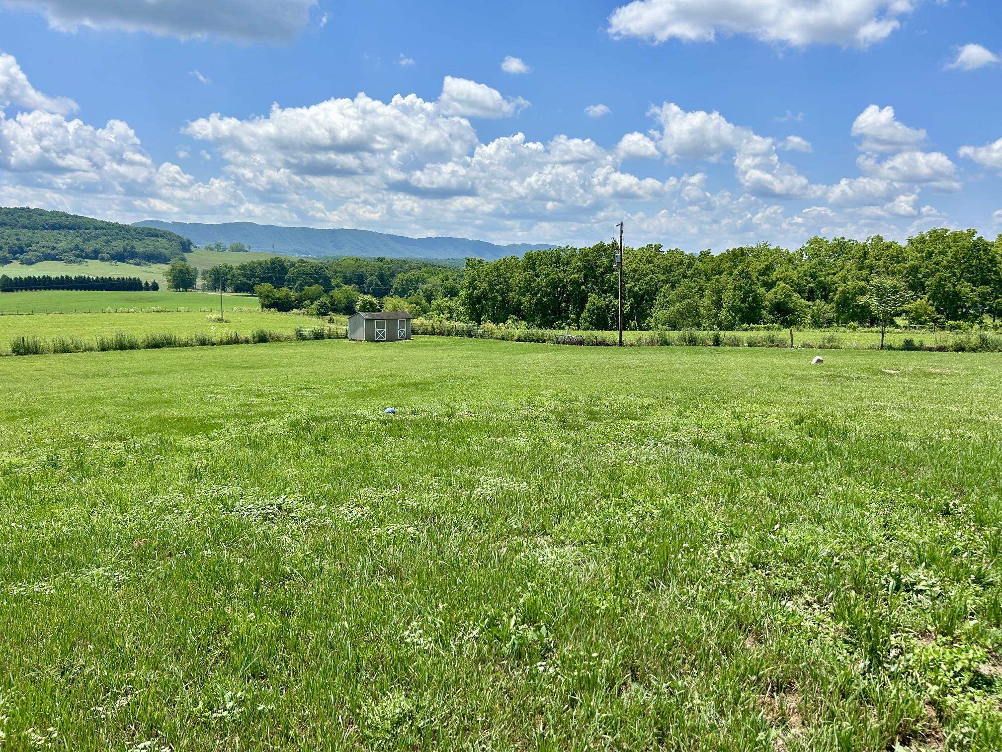 3206 Major Grahams Road Max Meadows VA 24360