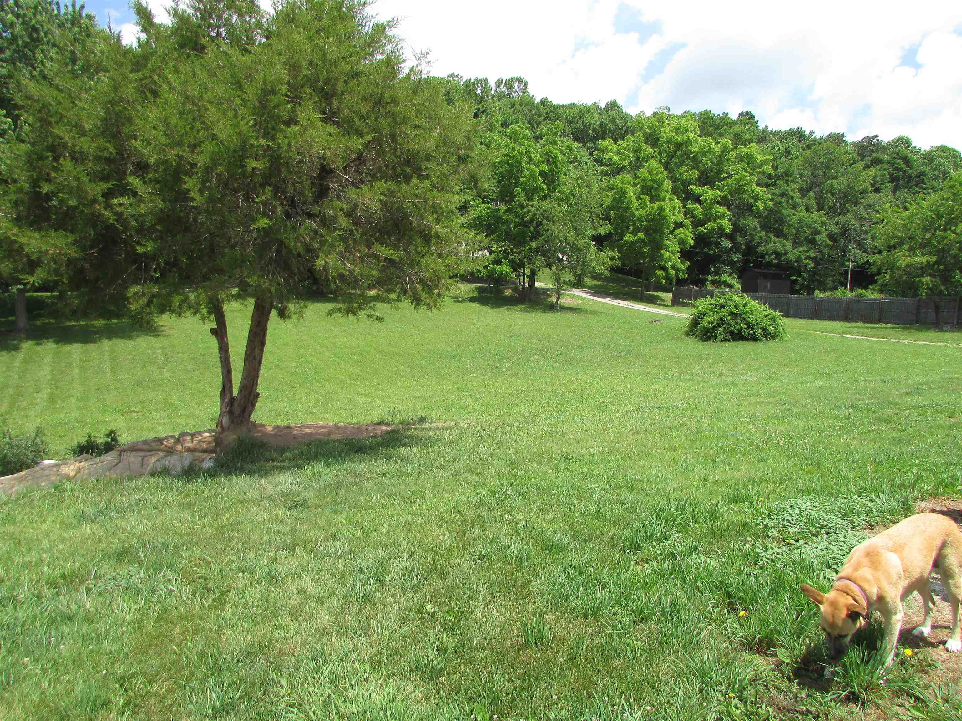 3206 Major Grahams Road Max Meadows VA 24360
