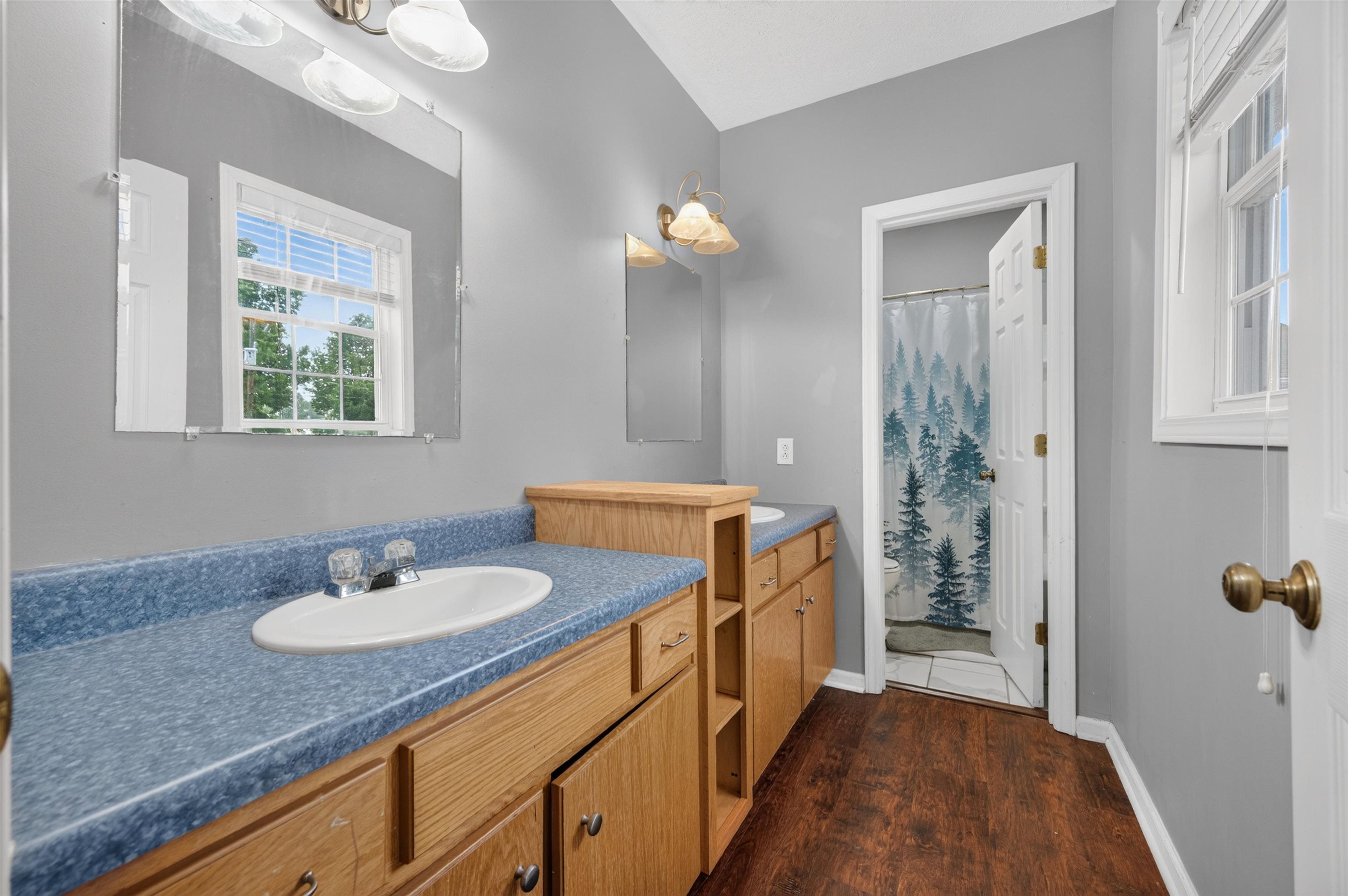 204 Lagrange Street Pulaski VA 24301