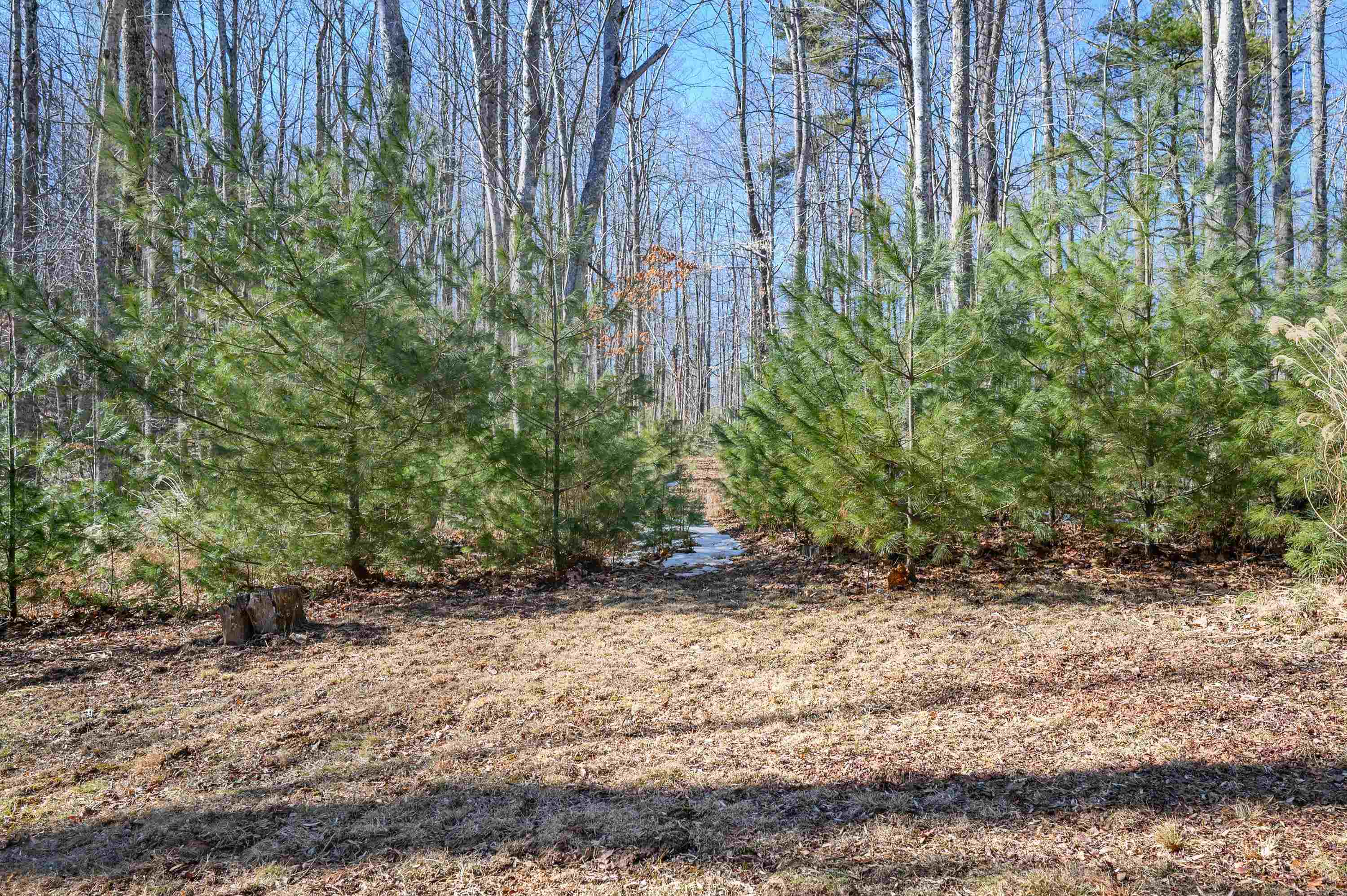 183 Willow Brook Lane NE Pilot VA 24138