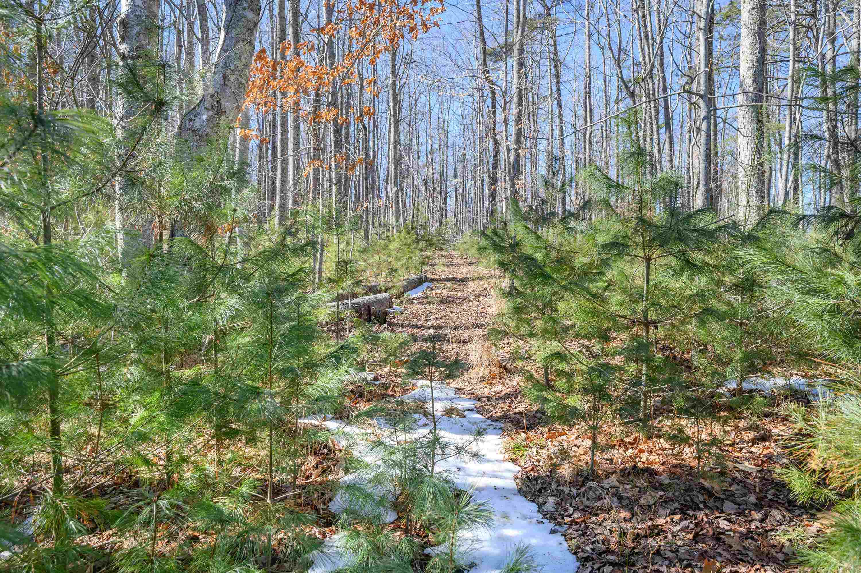 183 Willow Brook Lane NE Pilot VA 24138