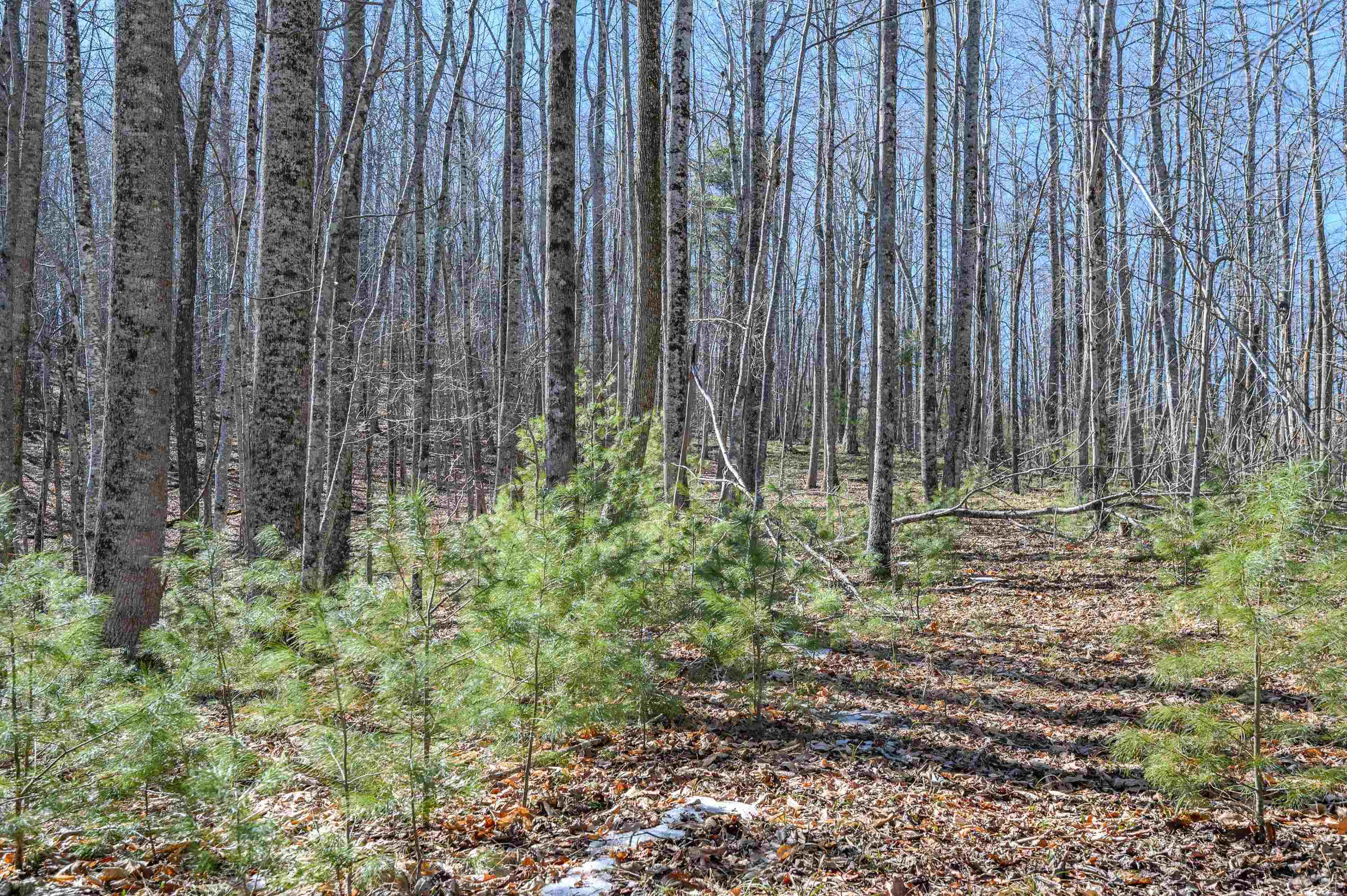 183 Willow Brook Lane NE Pilot VA 24138