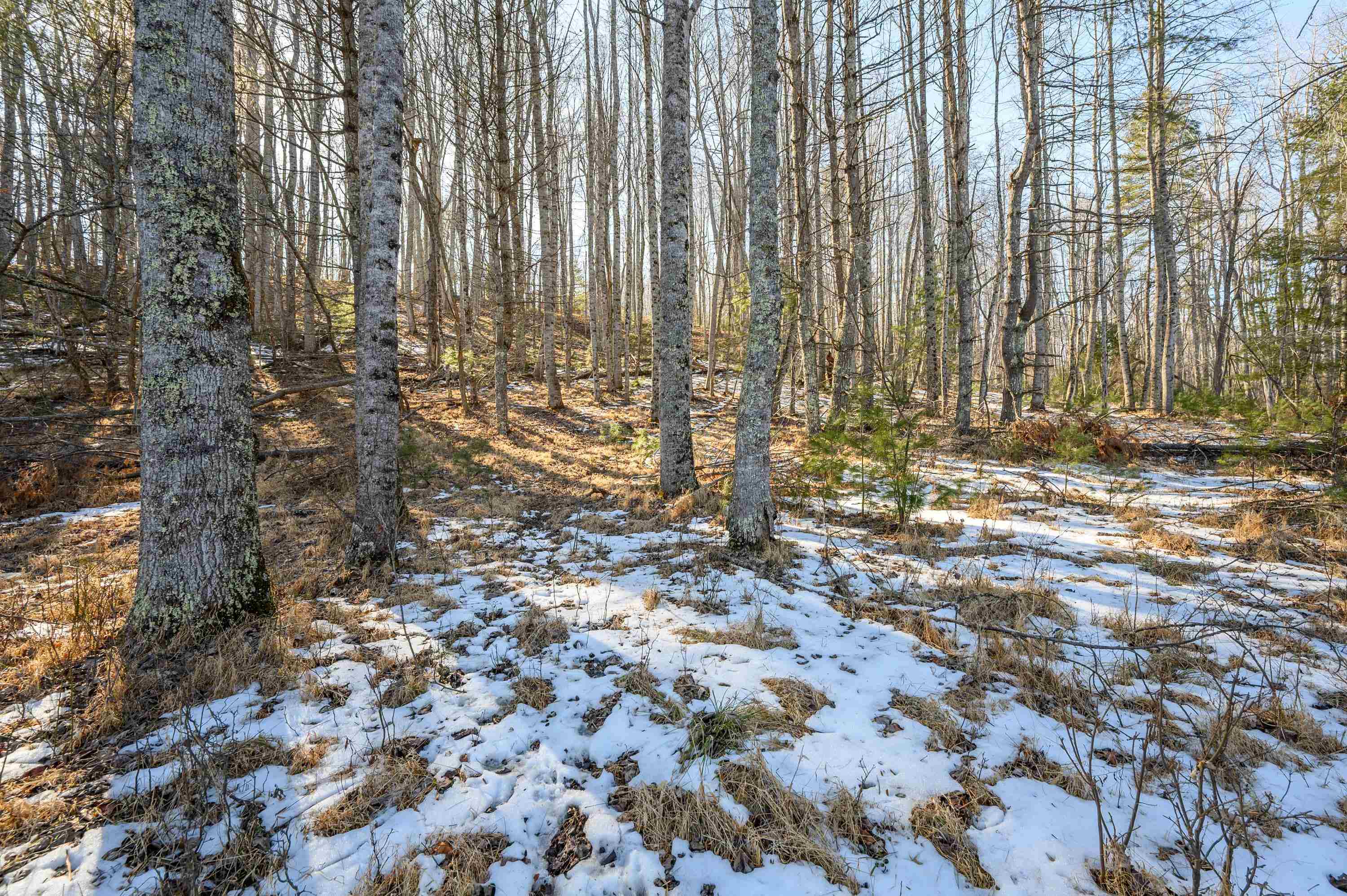 183 Willow Brook Lane NE Pilot VA 24138