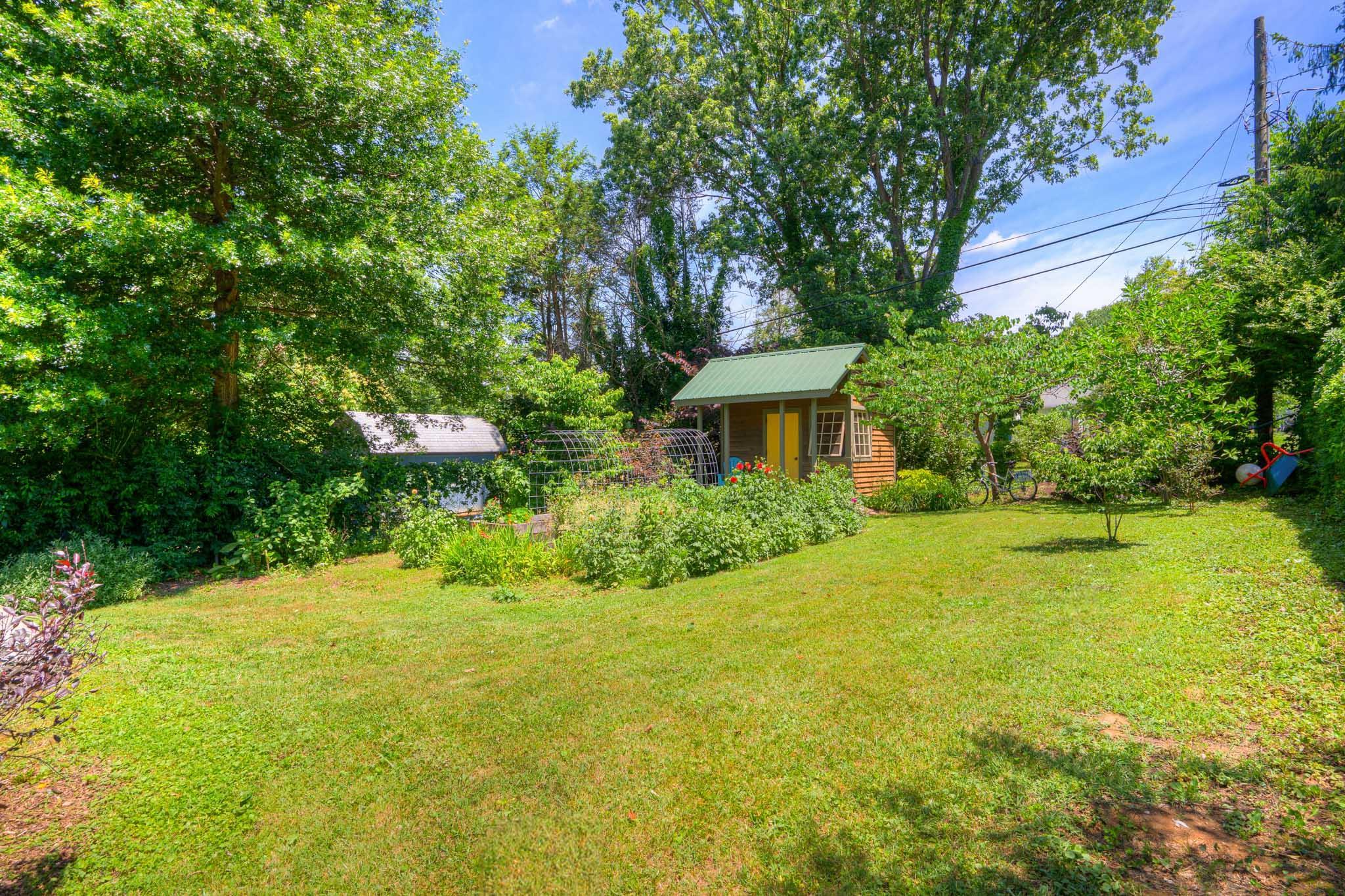 1113 Palmer Drive Blacksburg VA 24060