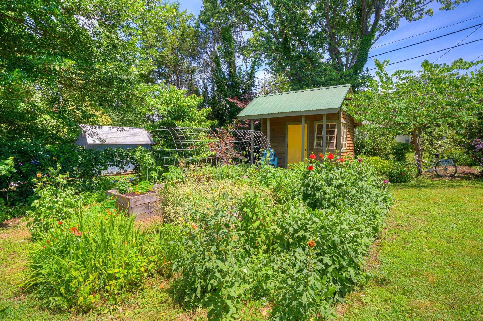 1113 Palmer Drive Blacksburg VA 24060
