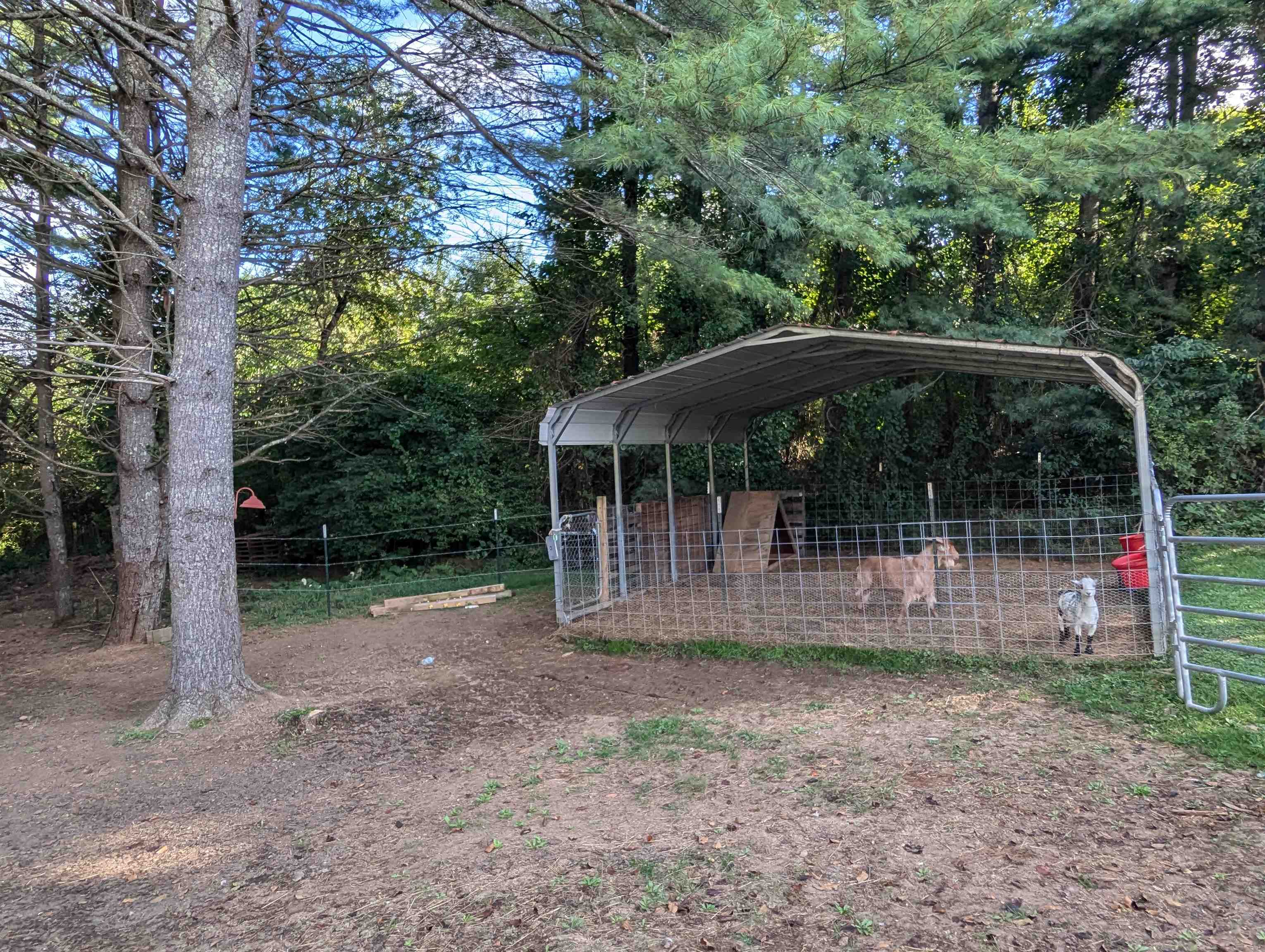 825 Macks Mountain Road Indian Valley VA 24105