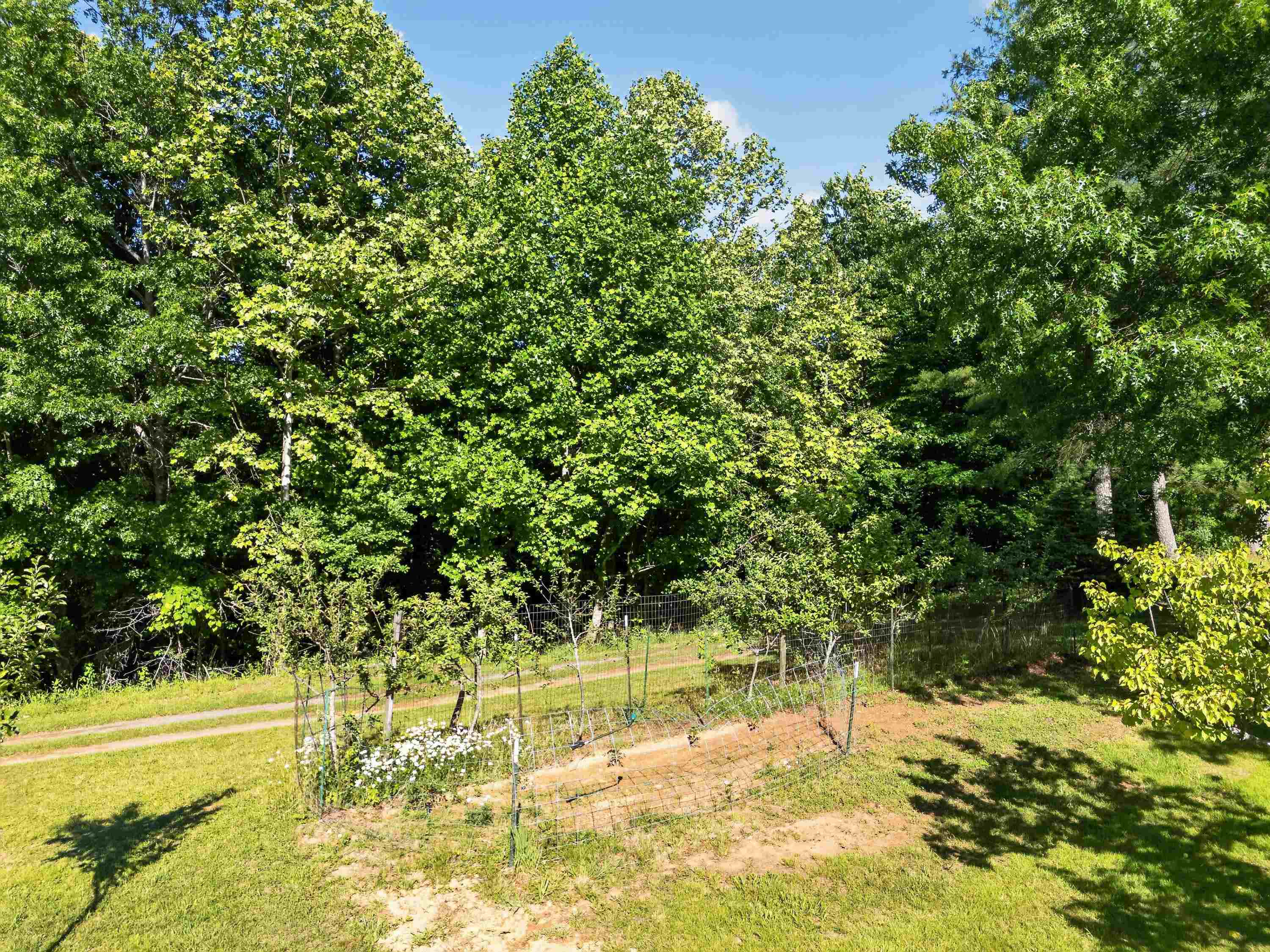 354 Two Rivers Drive Independence VA 24348