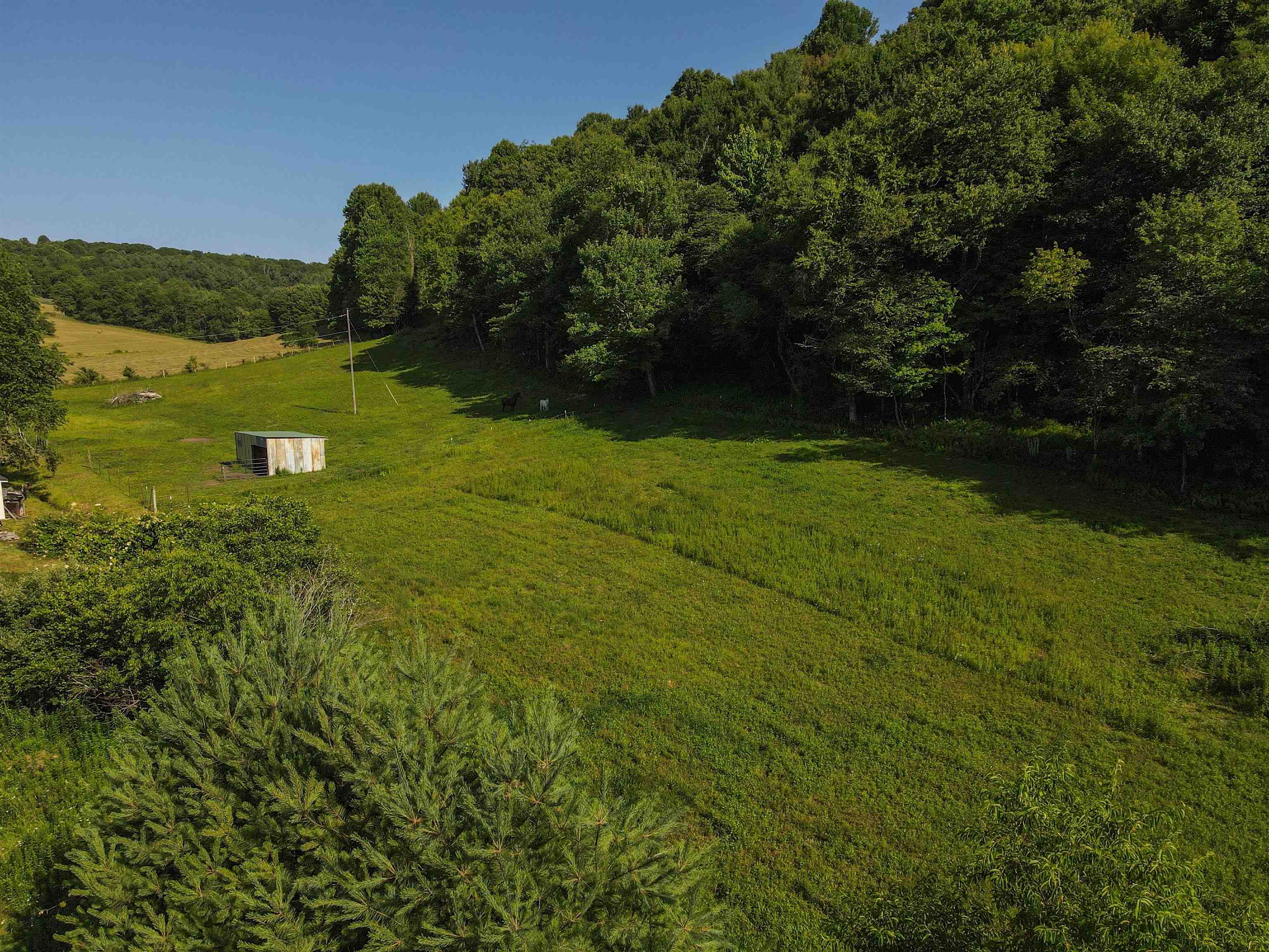 595 Emmanuel Road SW Willis VA 24380