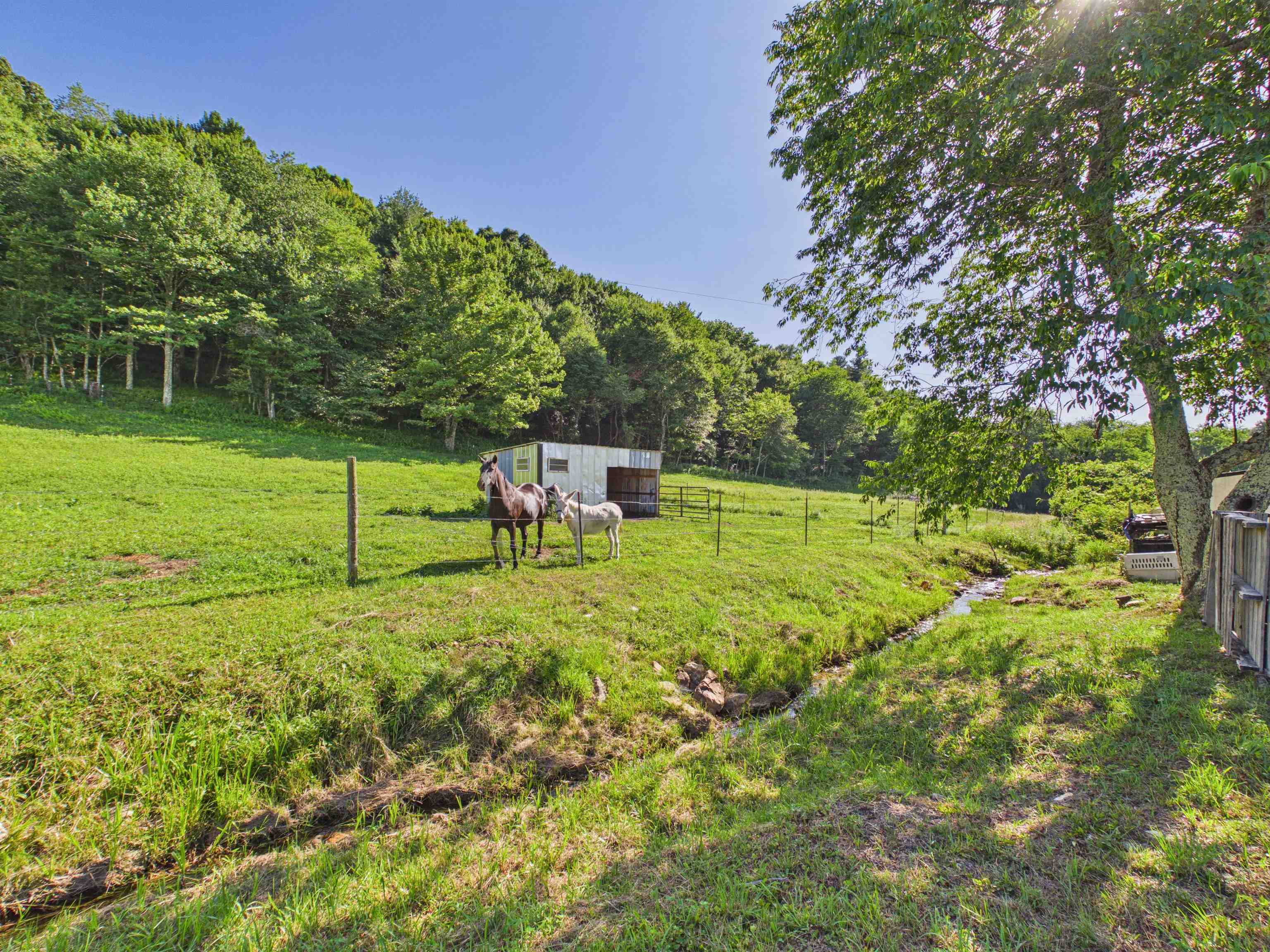 595 Emmanuel Road SW Willis VA 24380