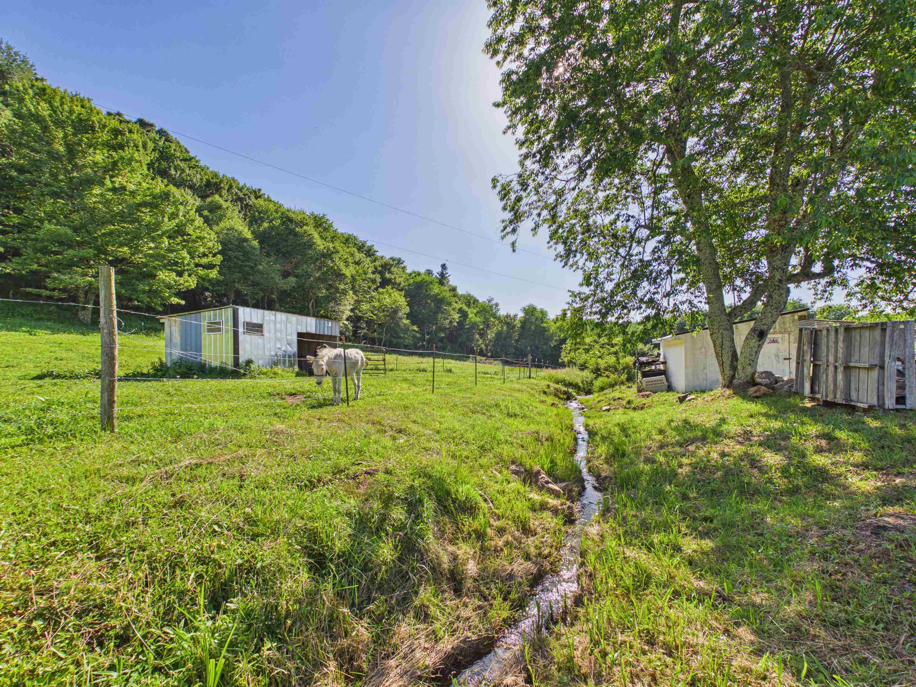 595 Emmanuel Road SW Willis VA 24380