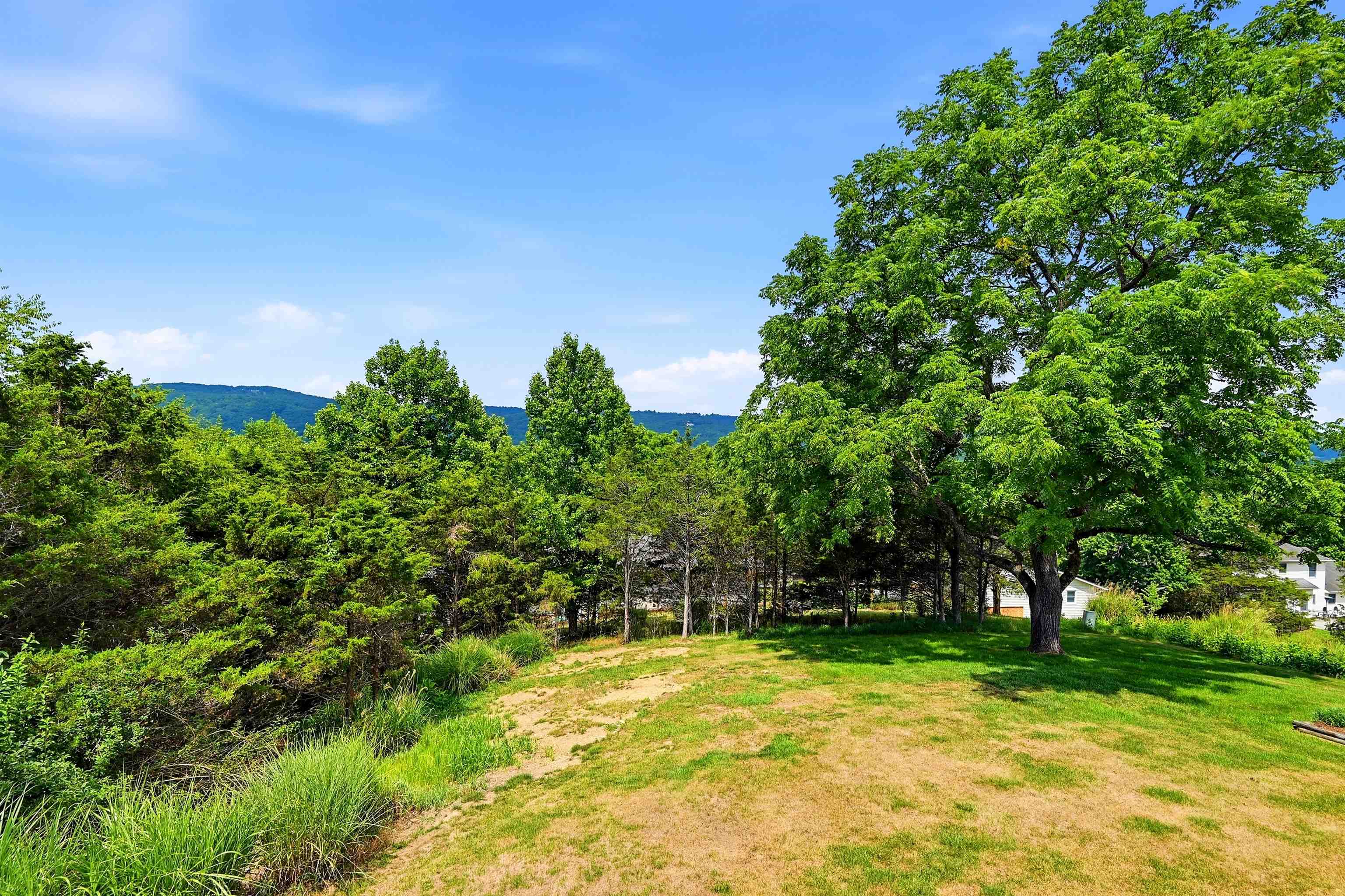1729 Mountainside Drive Blacksburg VA 24060