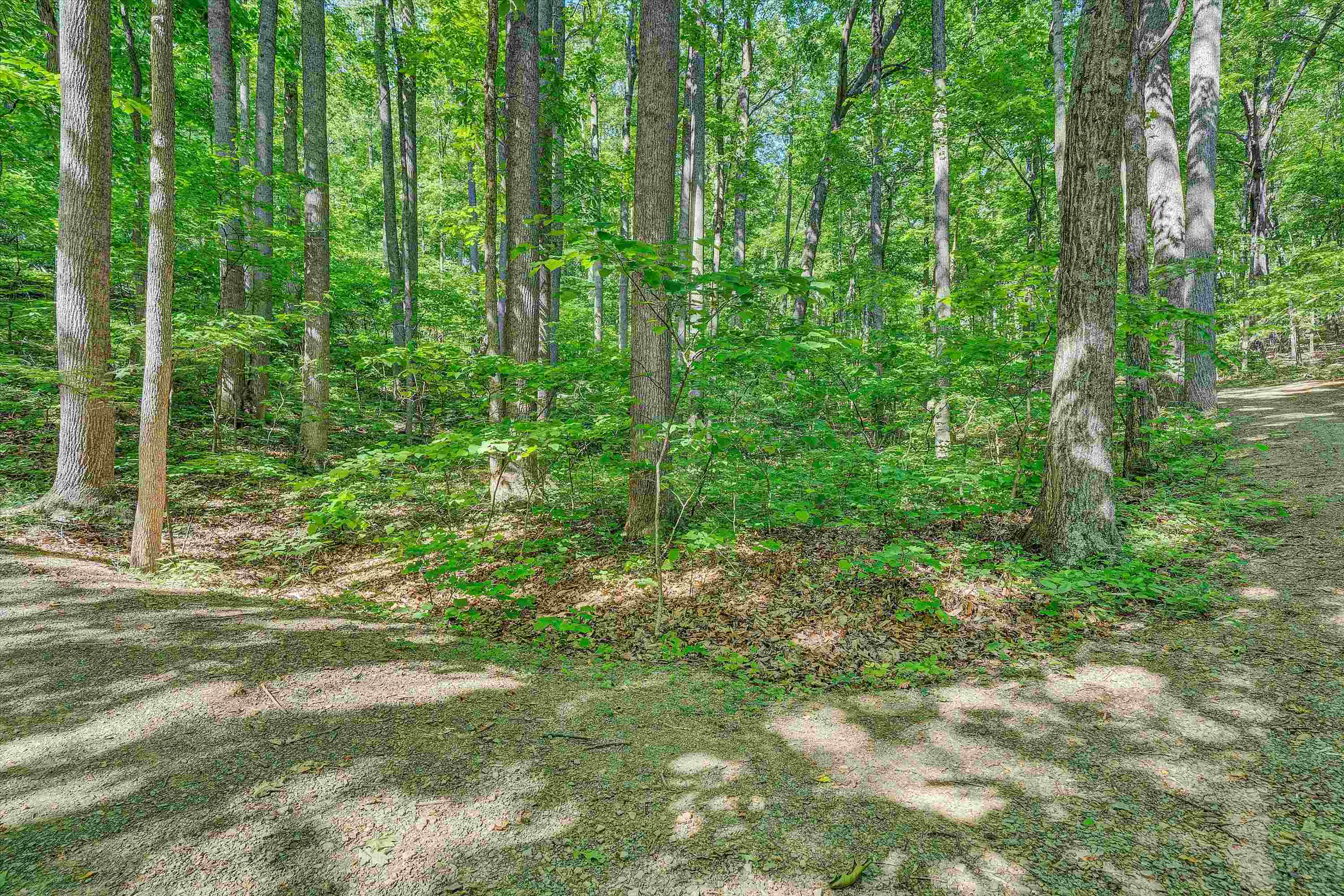 6060 Catawba Creek Road Catawba VA 24070