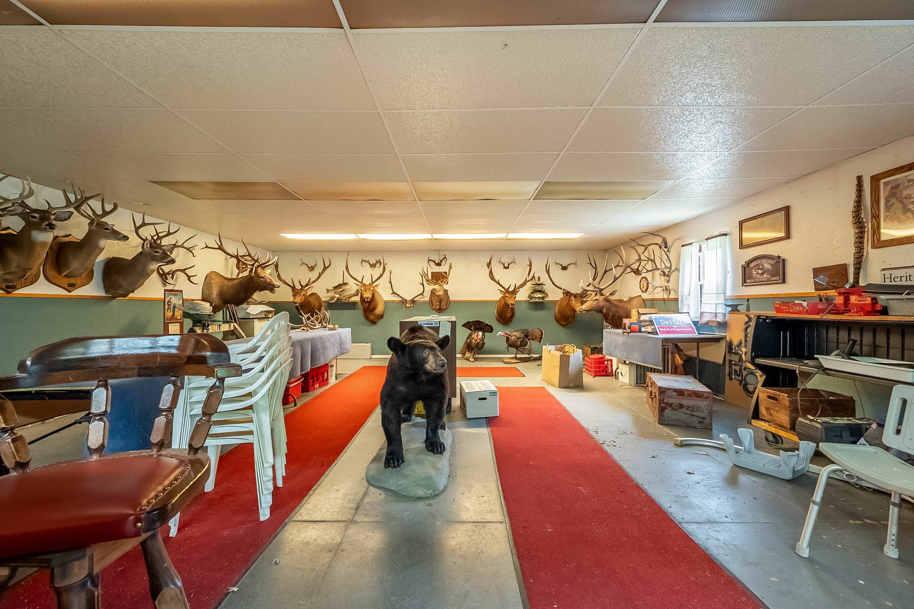 3722 Wesendonck Road Bland VA 24315