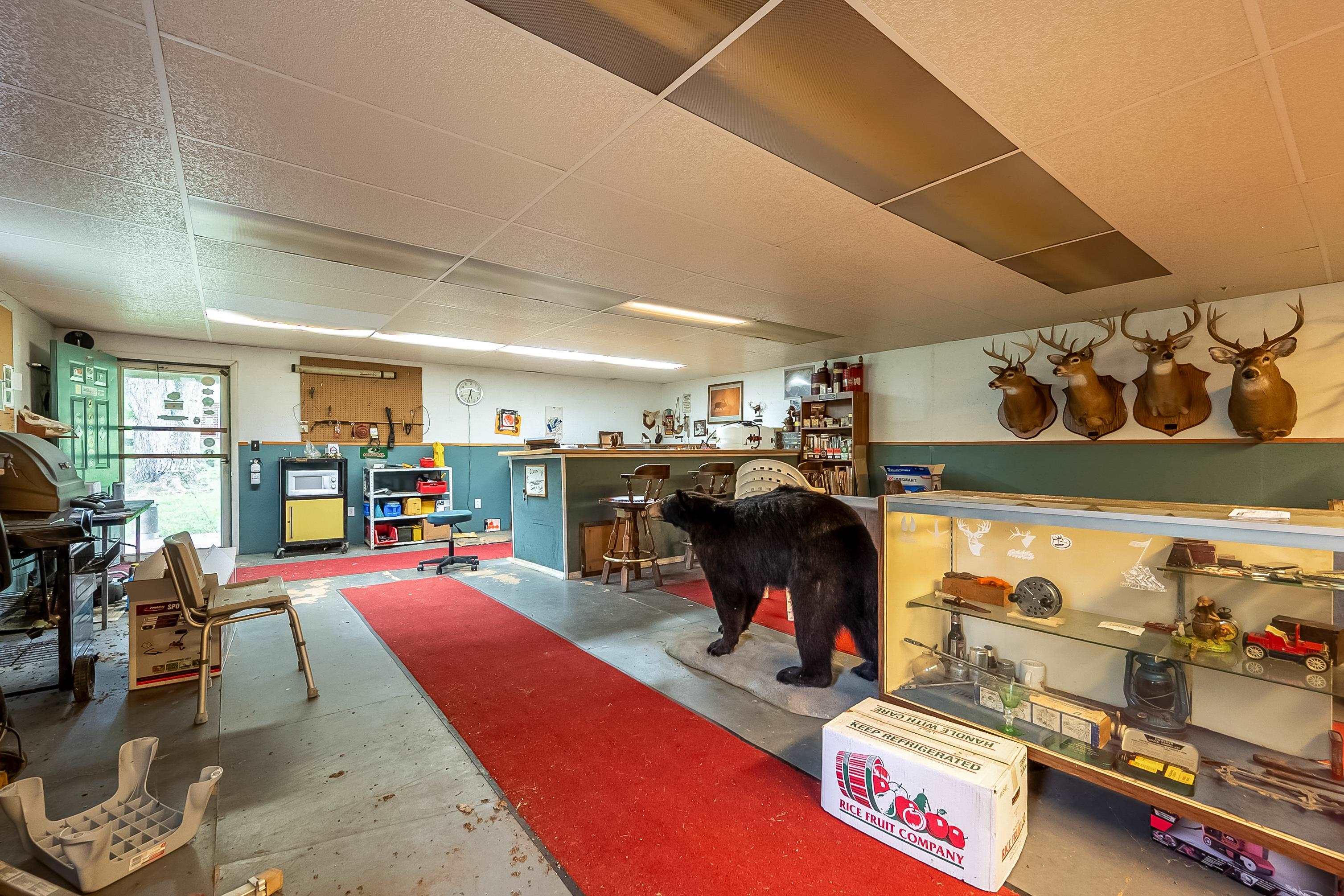 3722 Wesendonck Road Bland VA 24315