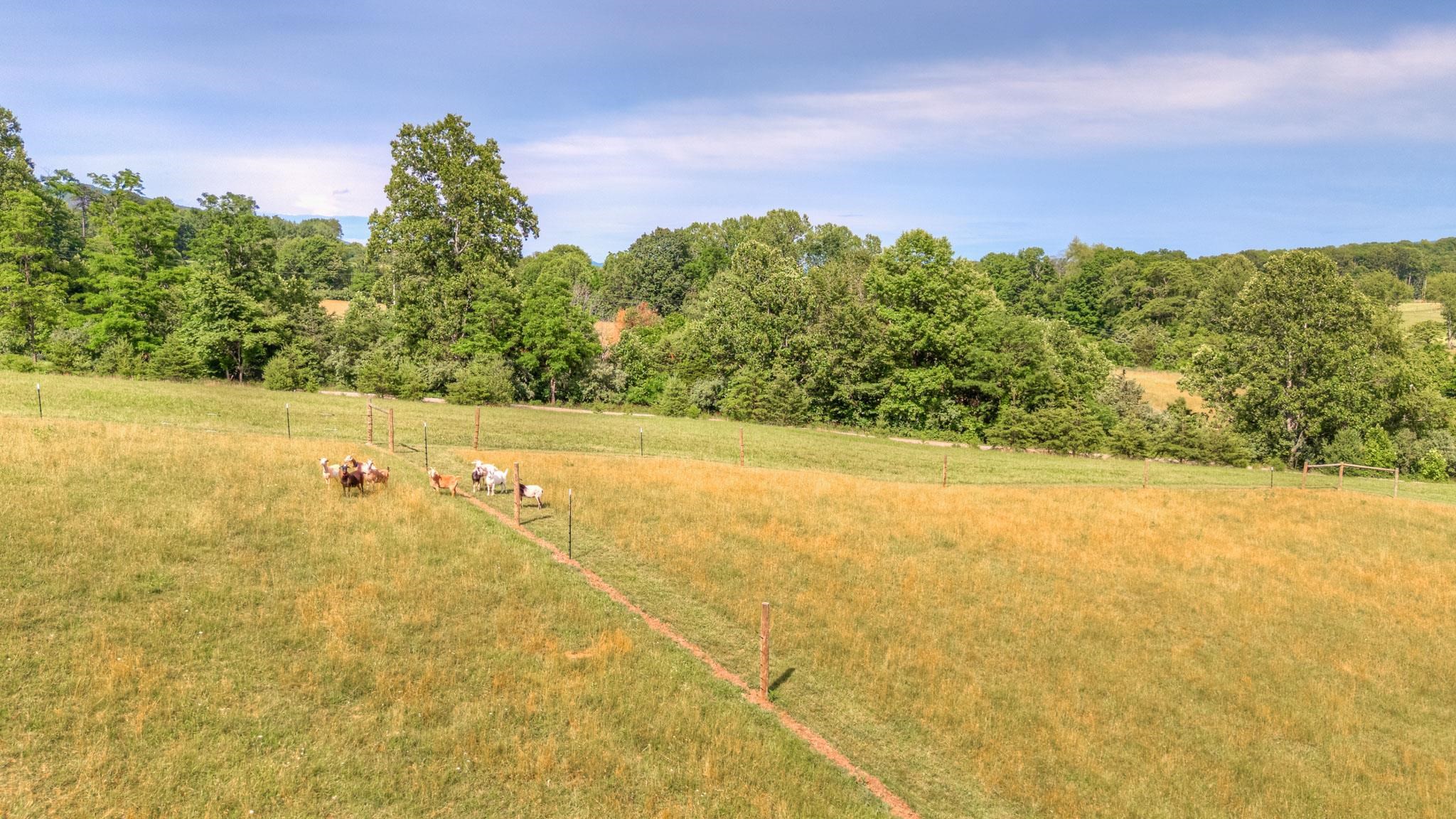 9169 Bear Claw Farms Lane Blacksburg VA 24060