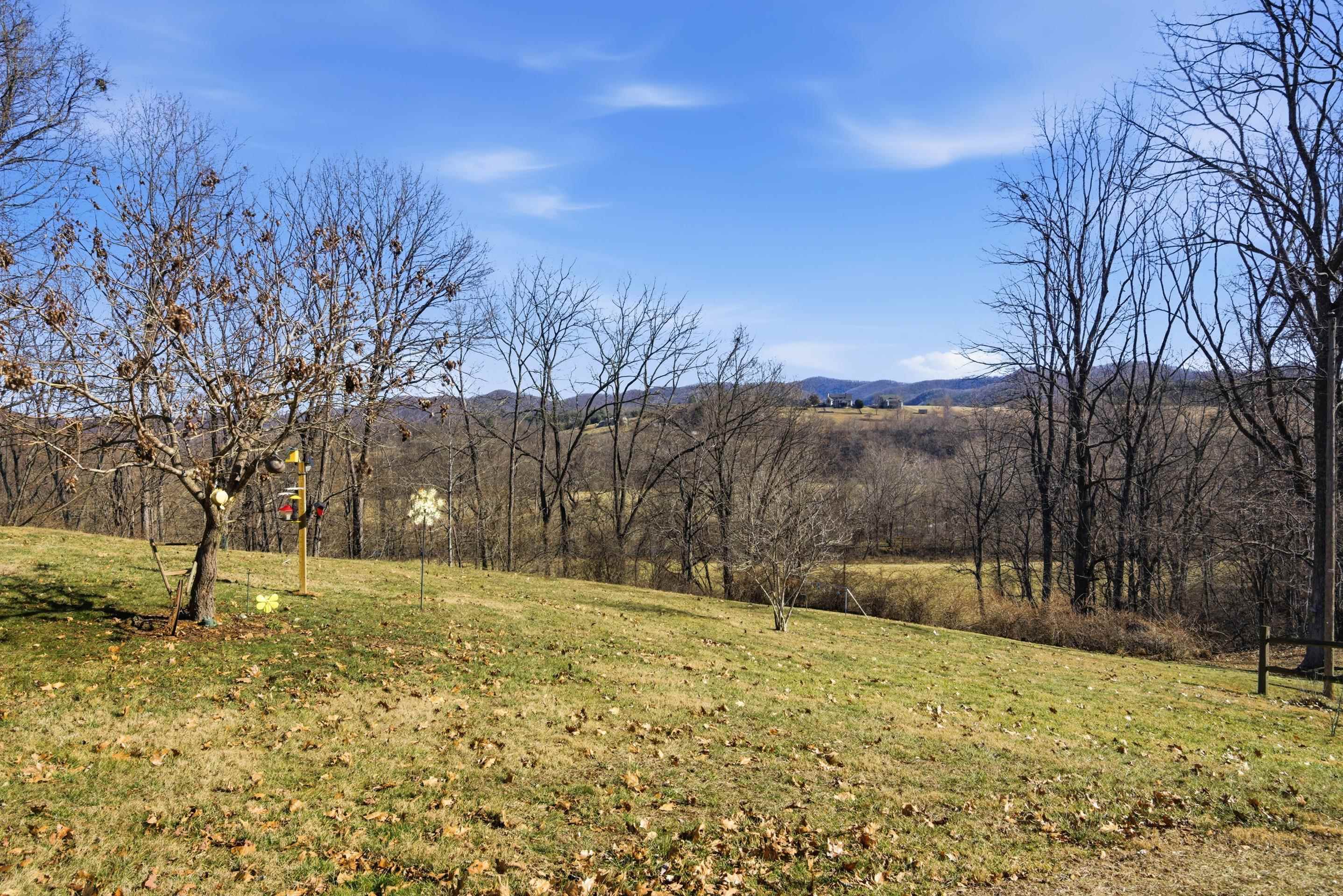 1400 Betty Baker Road Allisonia VA 24347