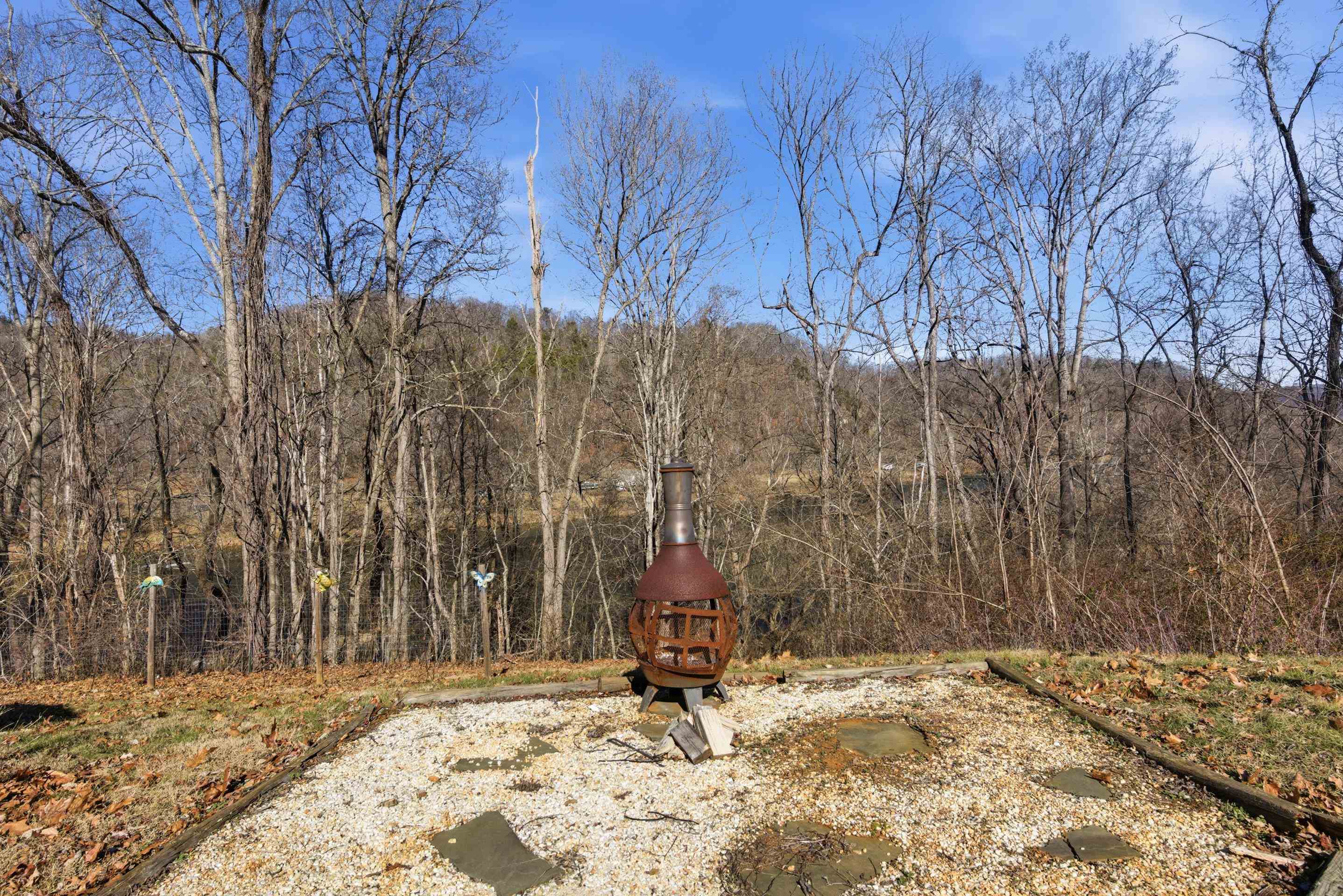 1400 Betty Baker Road Allisonia VA 24347