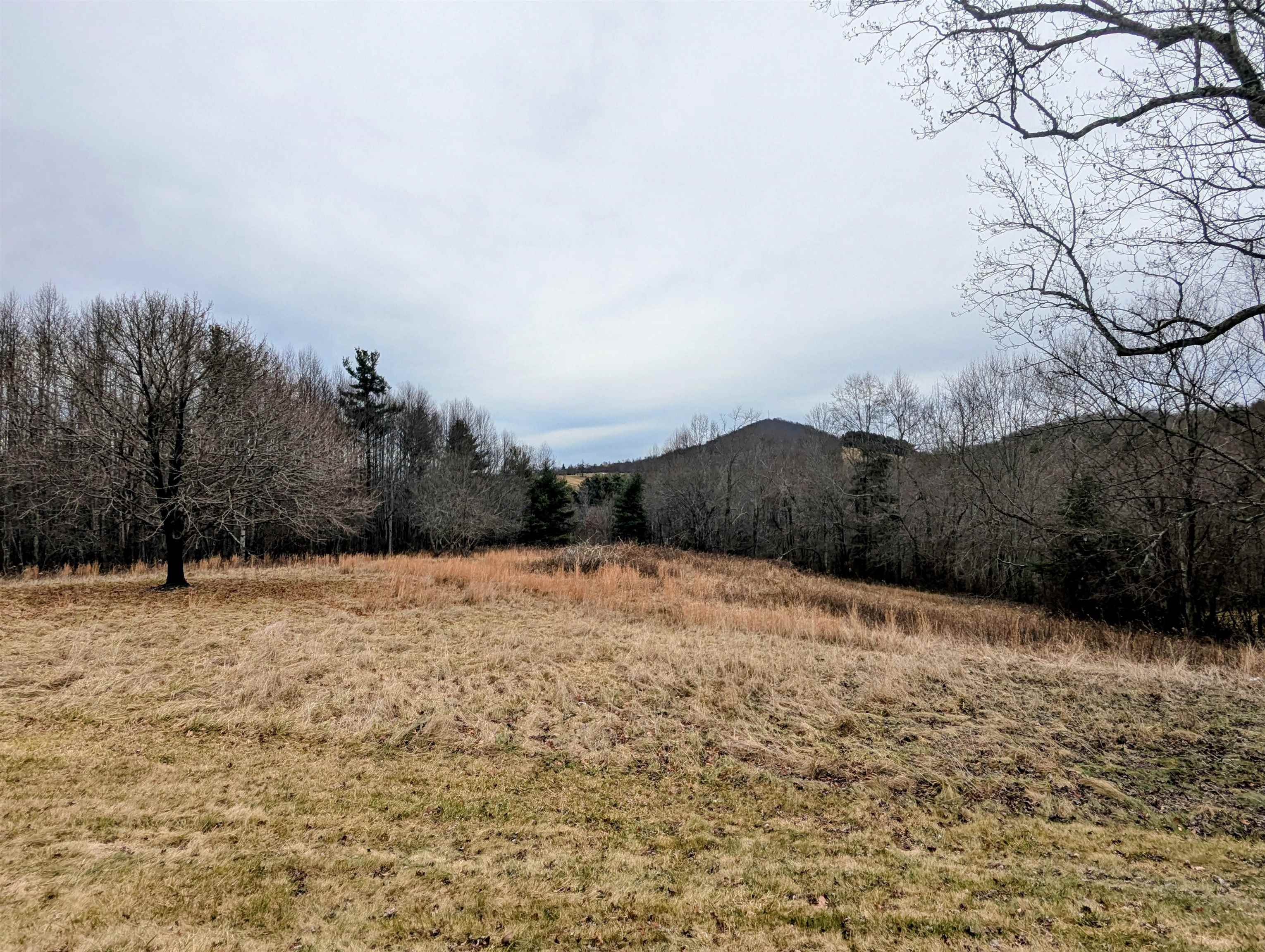 8203 Floyd Pike Dugspur VA 24325