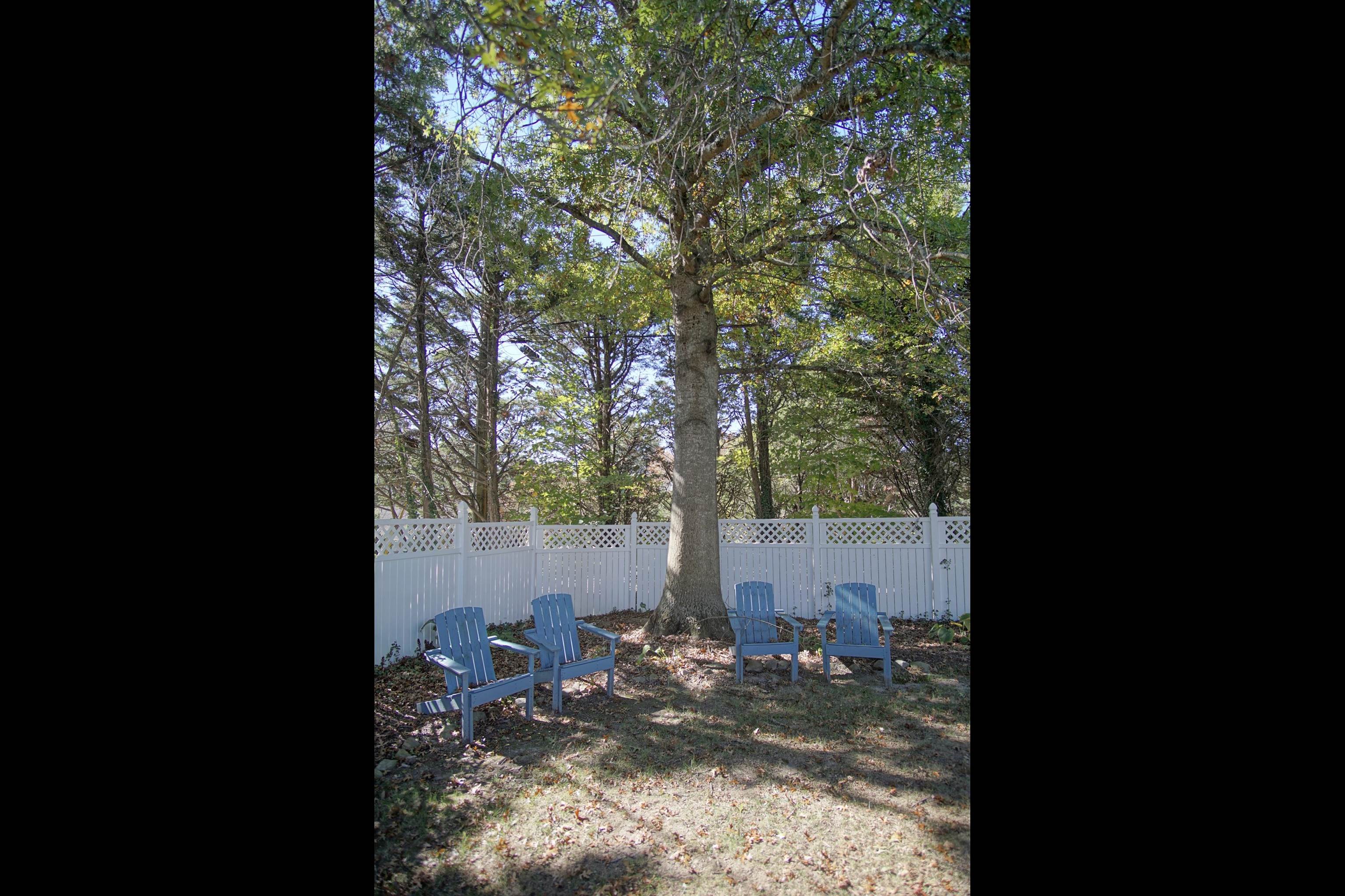 808 Preston Avenue Blacksburg VA 24060