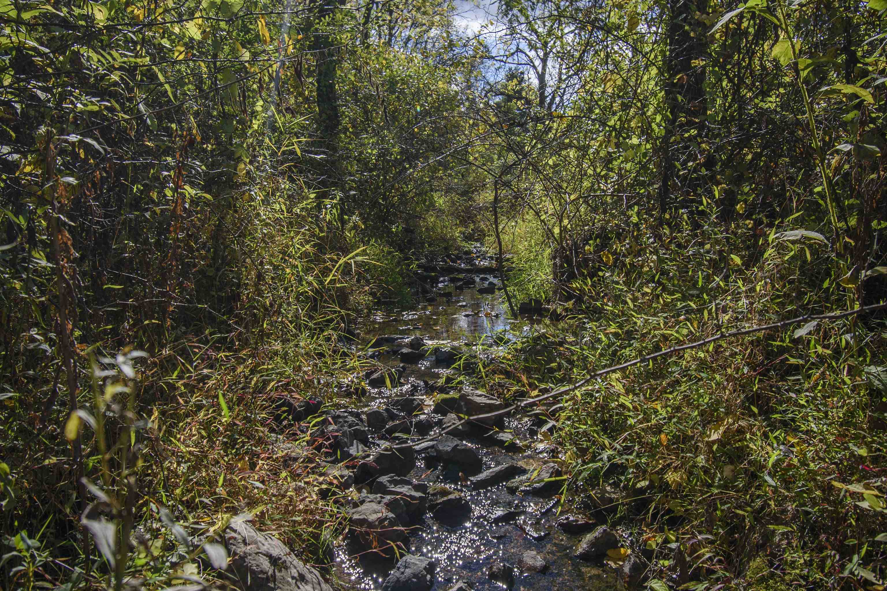 1349 Conners Valley Road Draper VA 24324