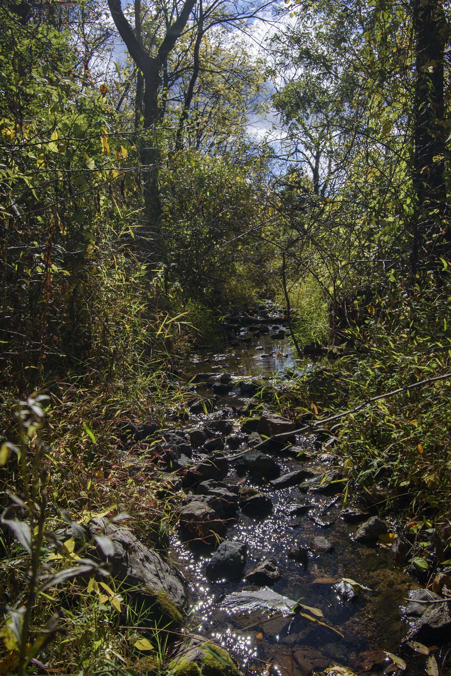 1349 Conners Valley Road Draper VA 24324