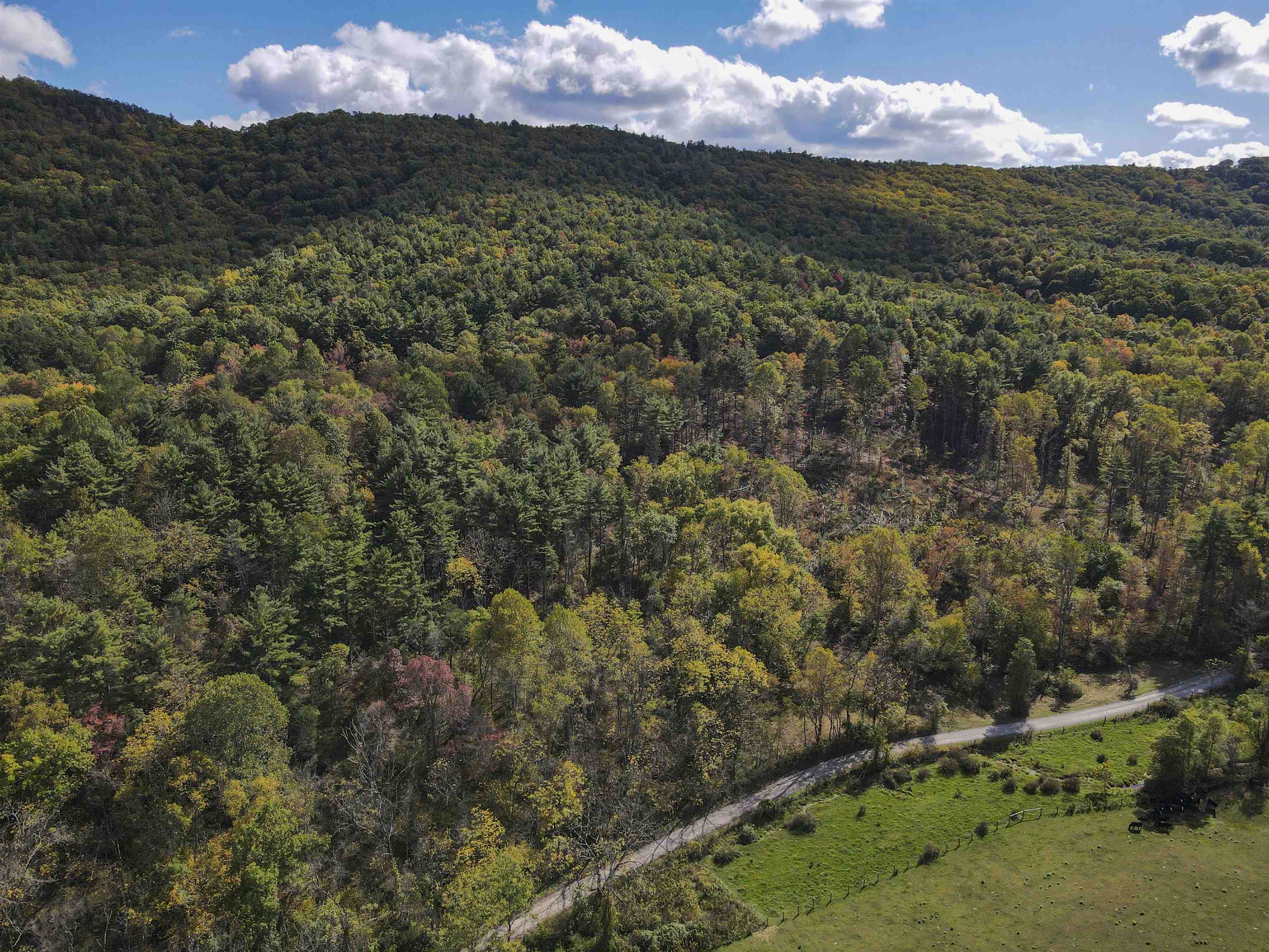 1349 Conners Valley Road Draper VA 24324