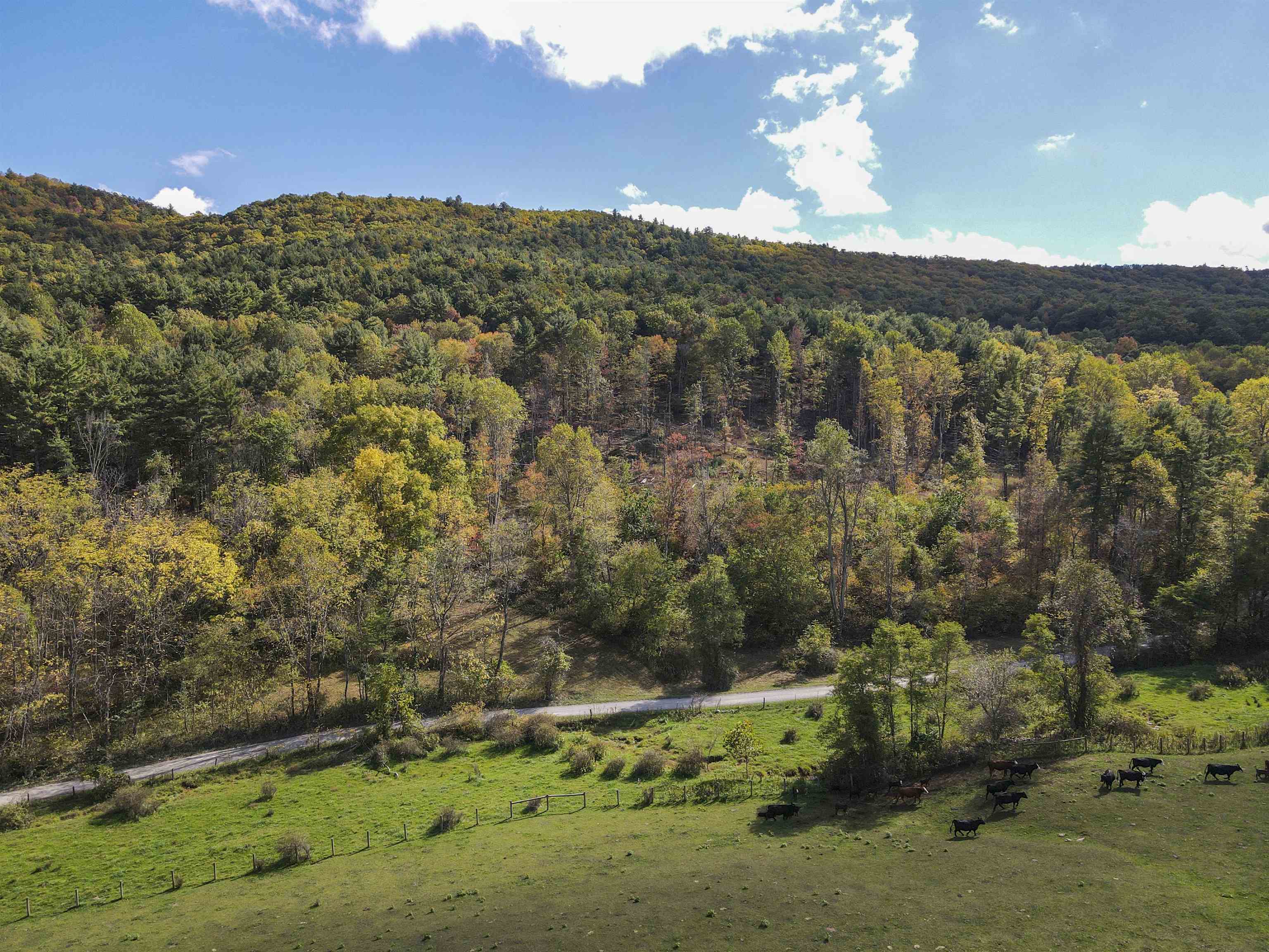 1349 Conners Valley Road Draper VA 24324