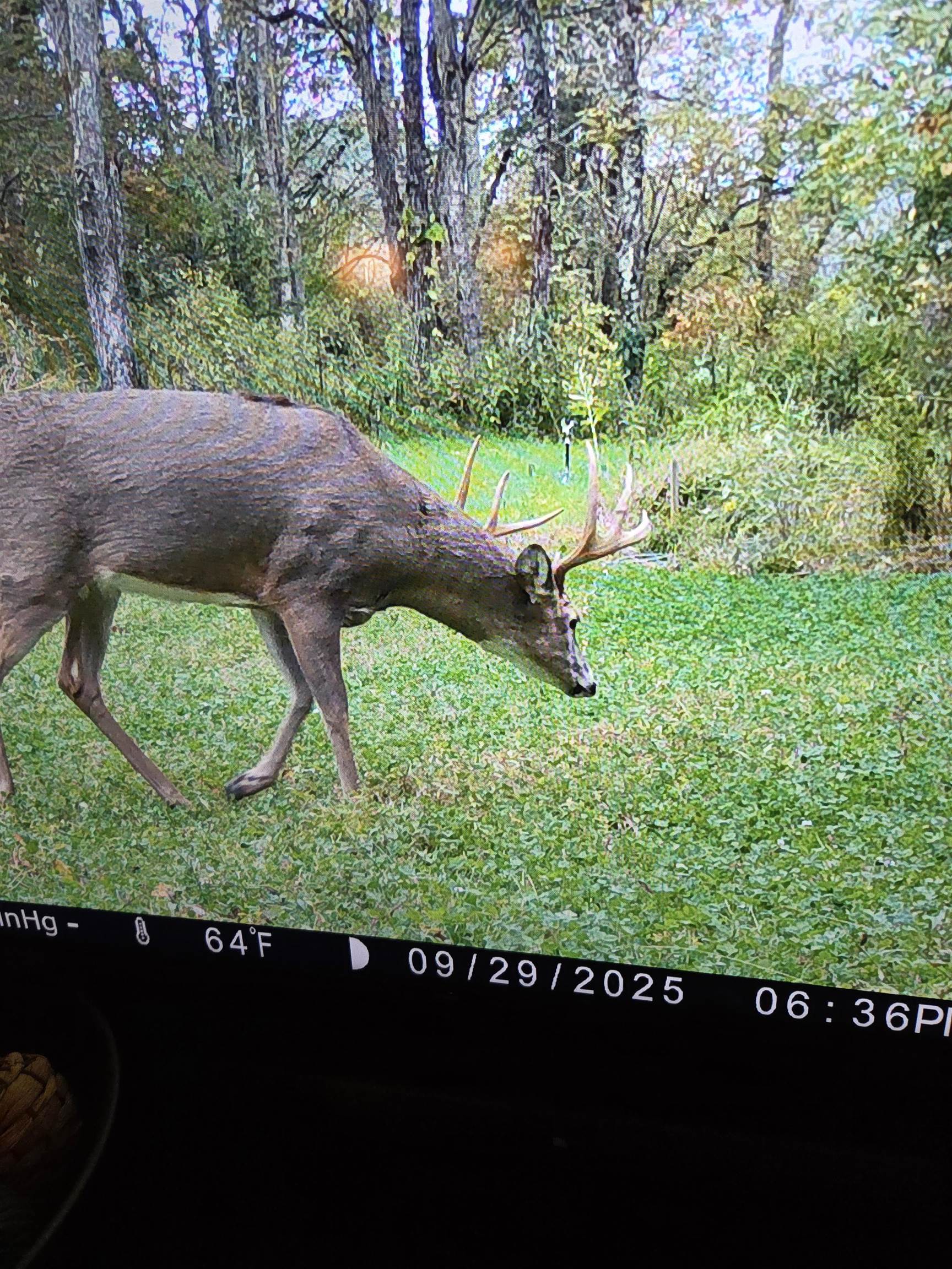 220 Annie Lane SW Floyd VA 24091