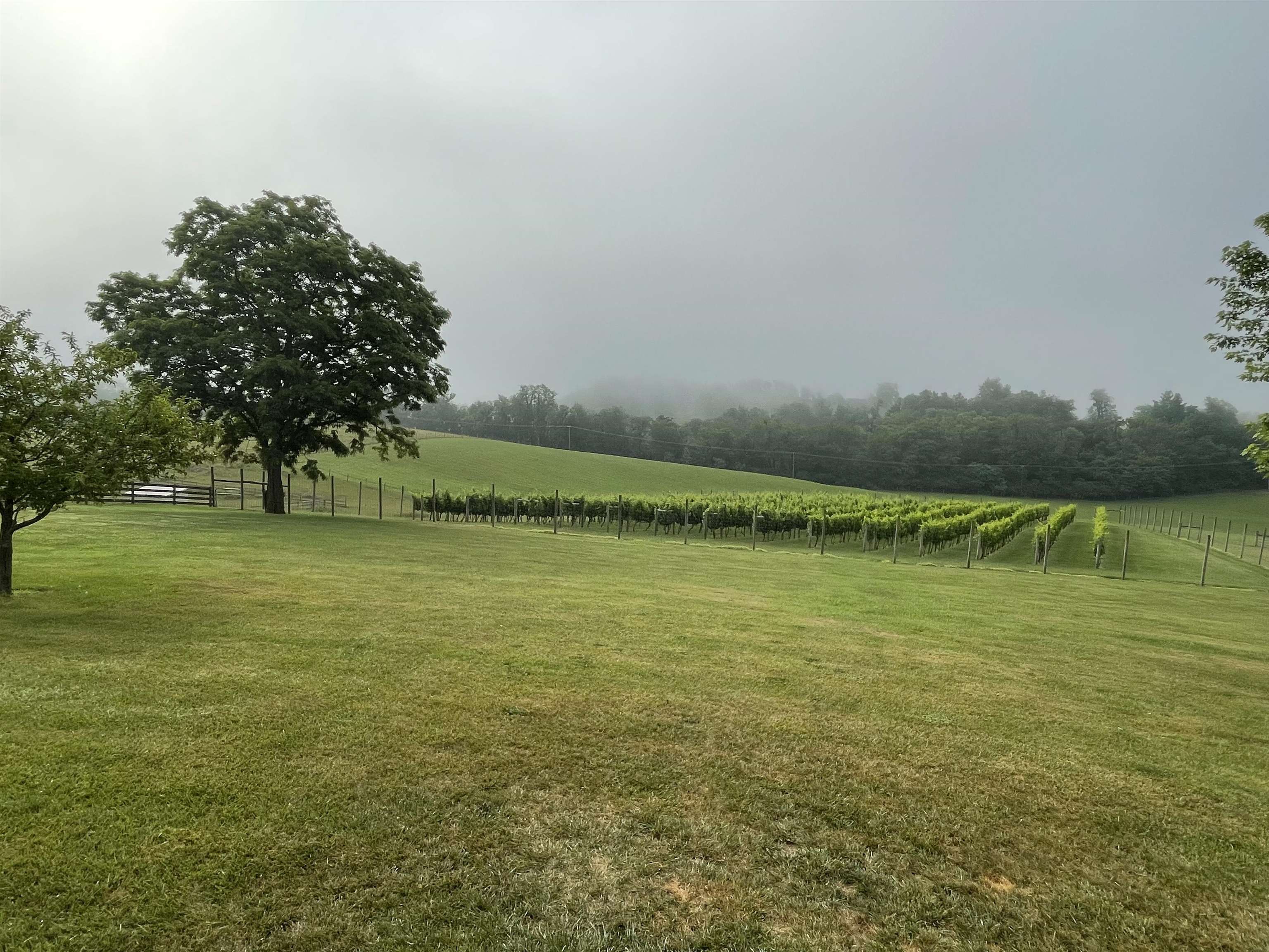 2664 Old Route 100 Road Draper VA 24324