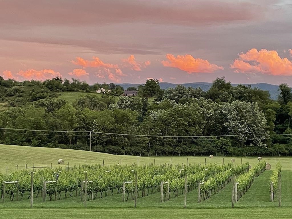 2664 Old Route 100 Road Draper VA 24324