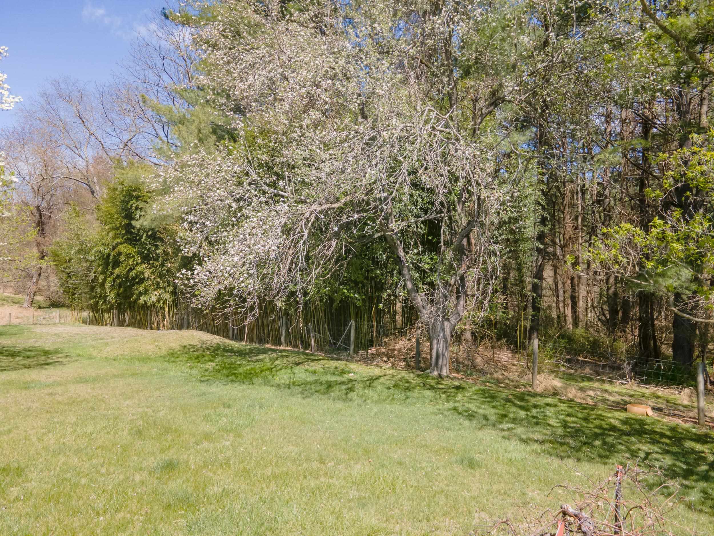 210 Sutherland Street Hillsville VA 24343