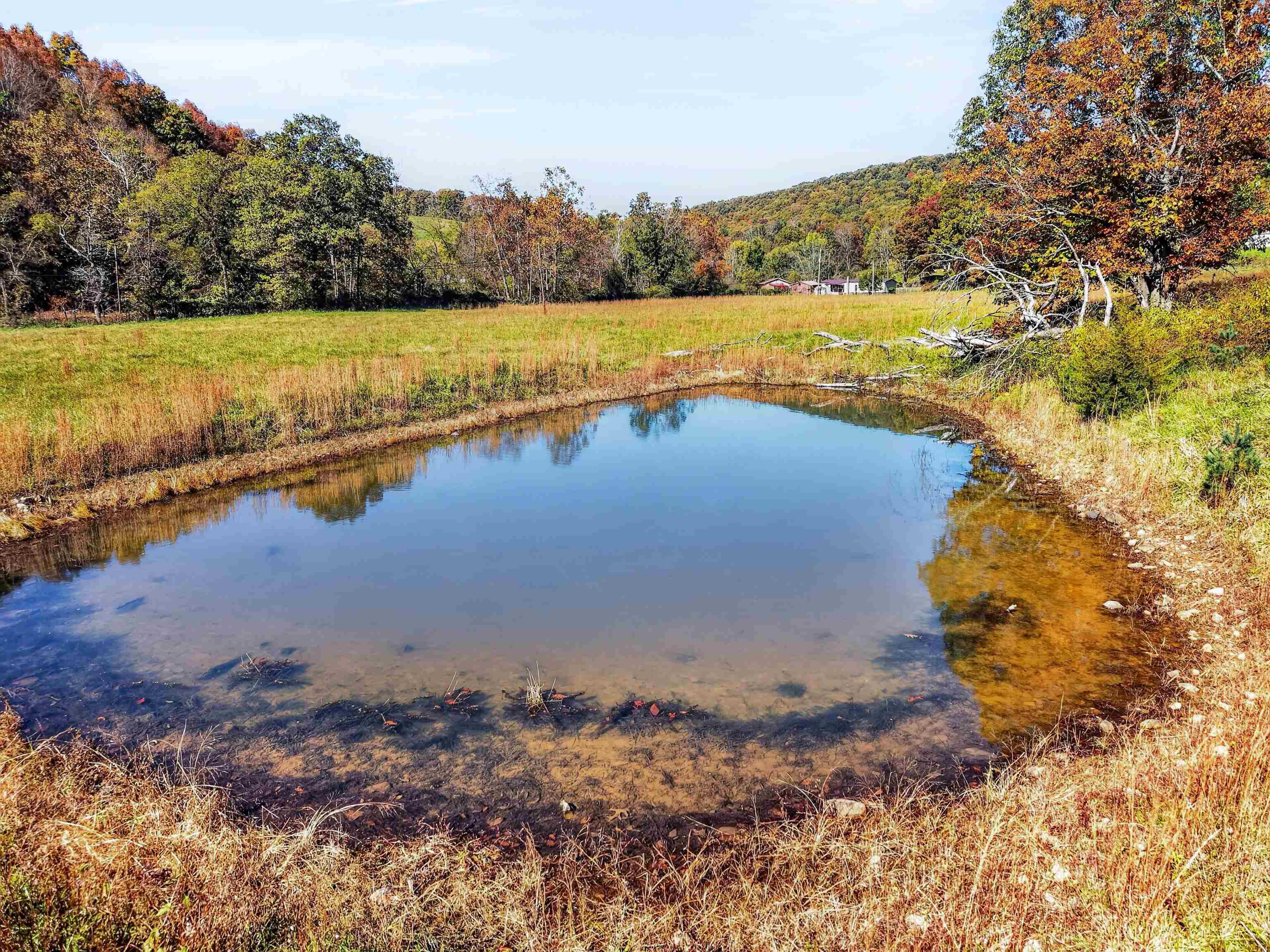 736 Mule Hell Road Wytheville VA 24382