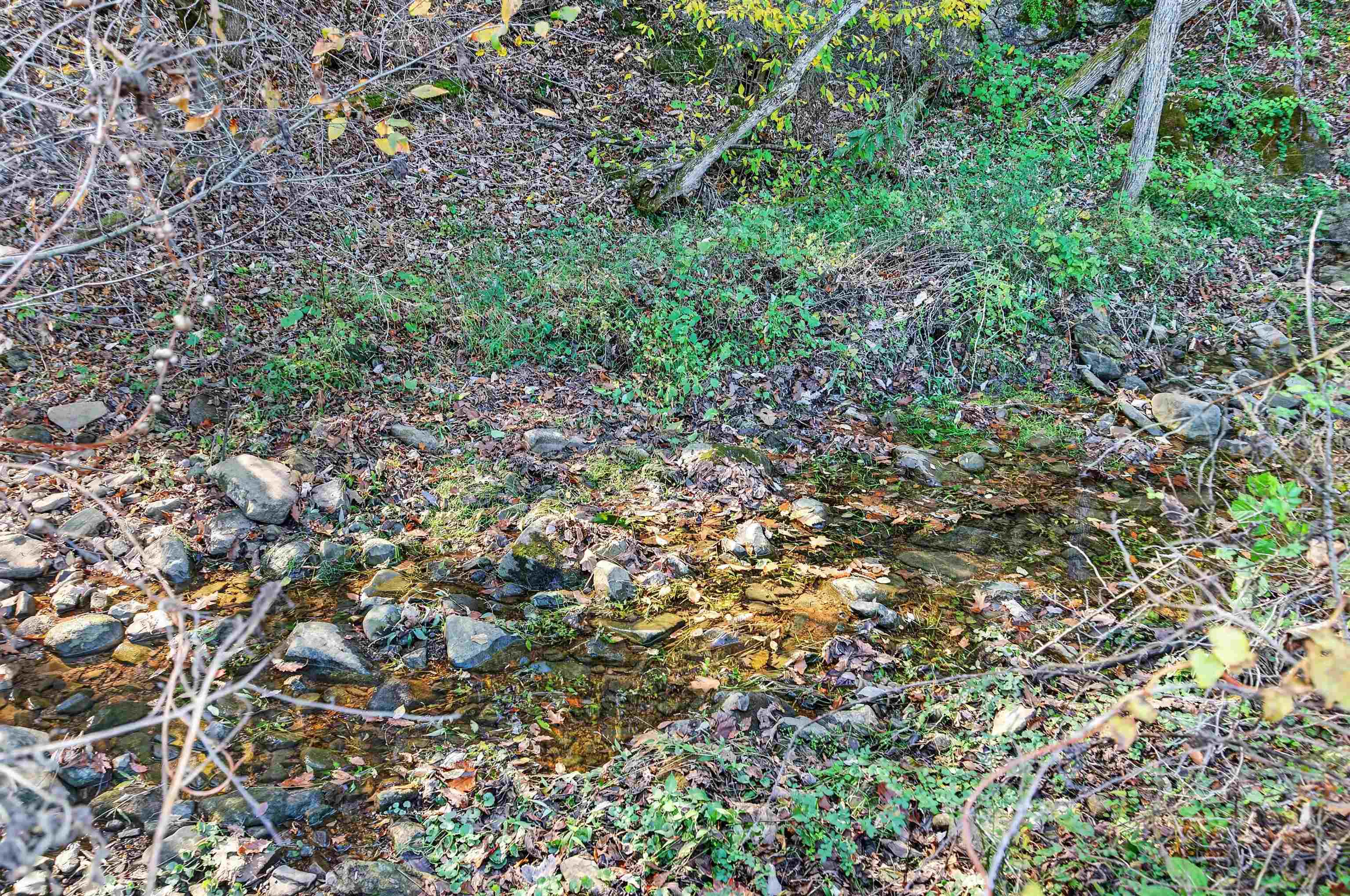 736 Mule Hell Road Wytheville VA 24382