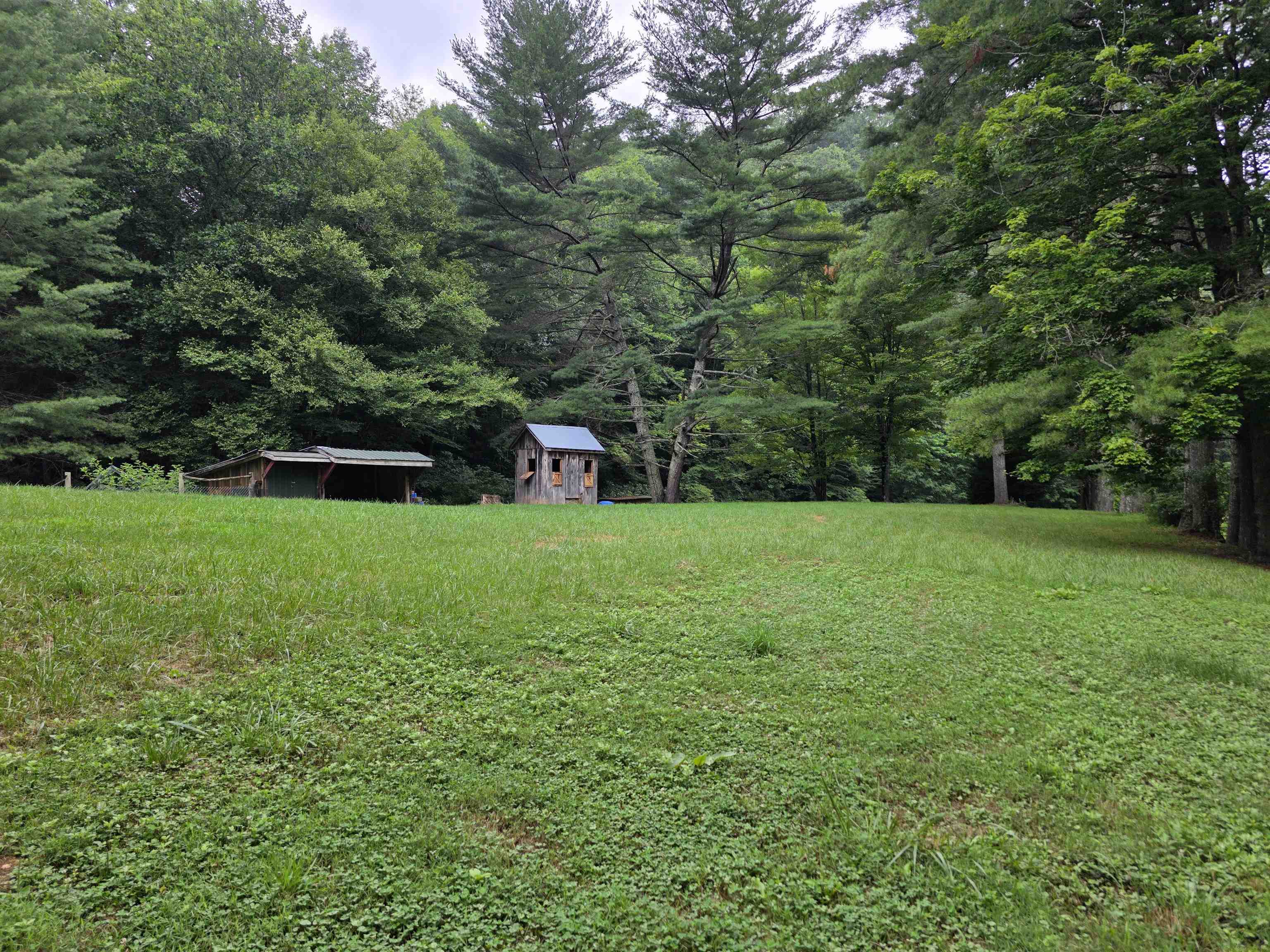 352 Sawmill Hill Road Willis VA 24380