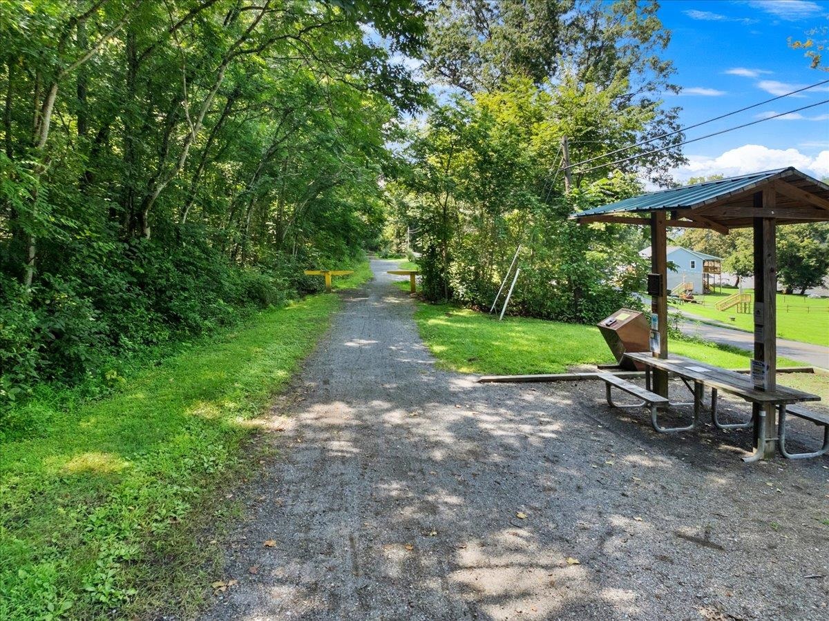 1769 Julia Simpkins Road Allisonia VA 24347