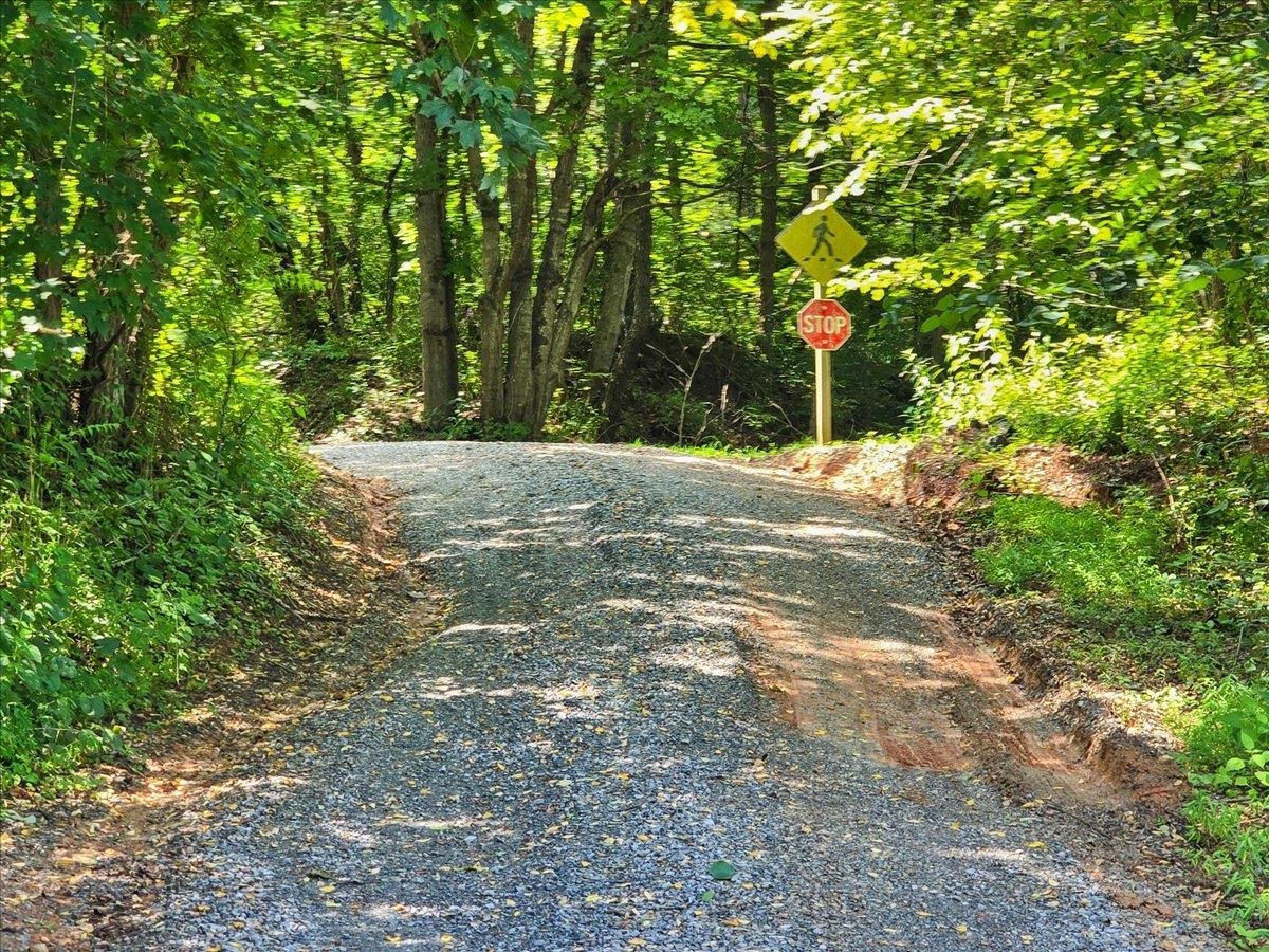 1769 Julia Simpkins Road Allisonia VA 24347