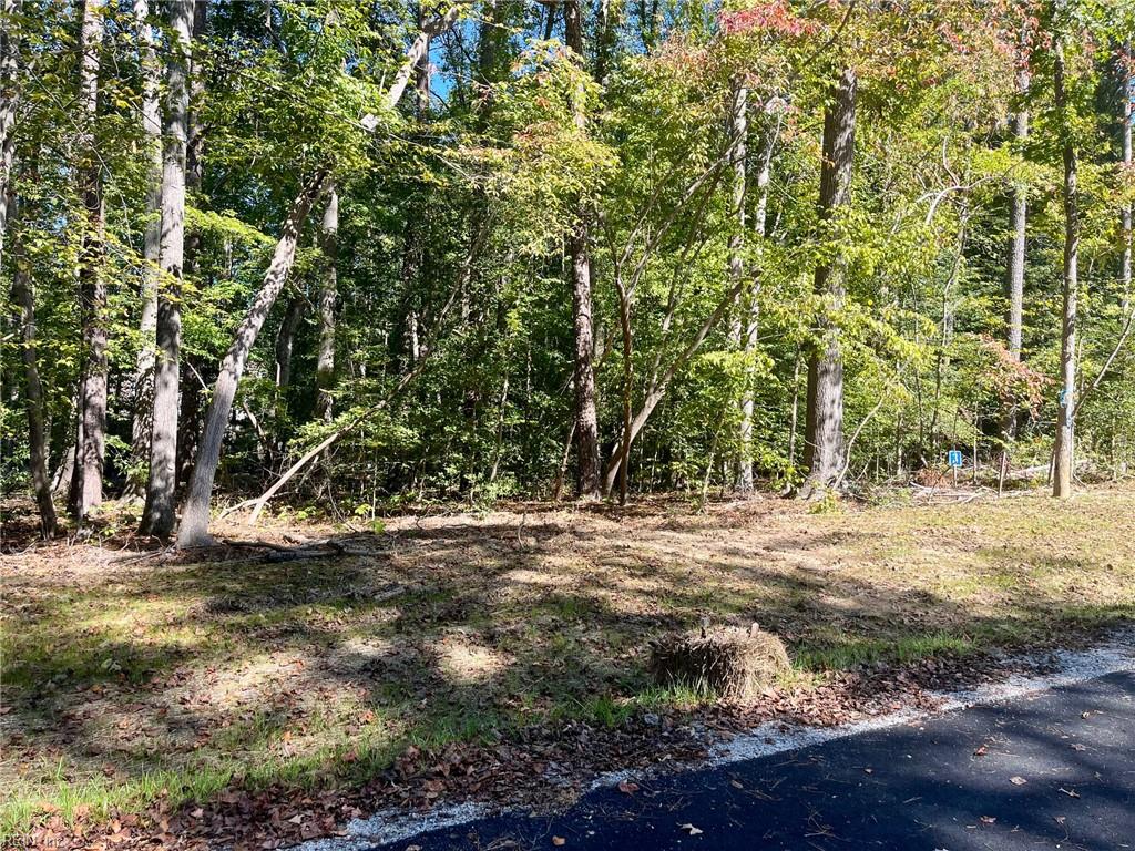 5353 Ridgewood Hills Williamsburg VA 23188