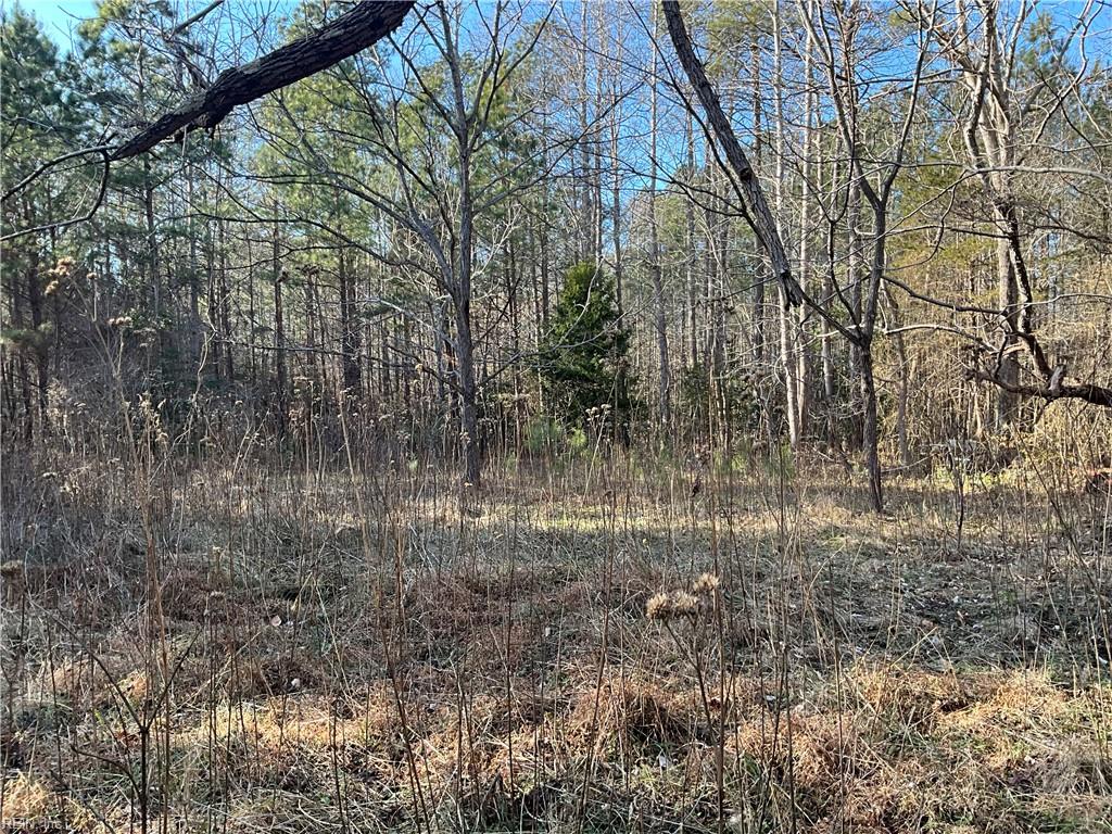 17.4AC Salem Wood Road Gloucester VA 23061