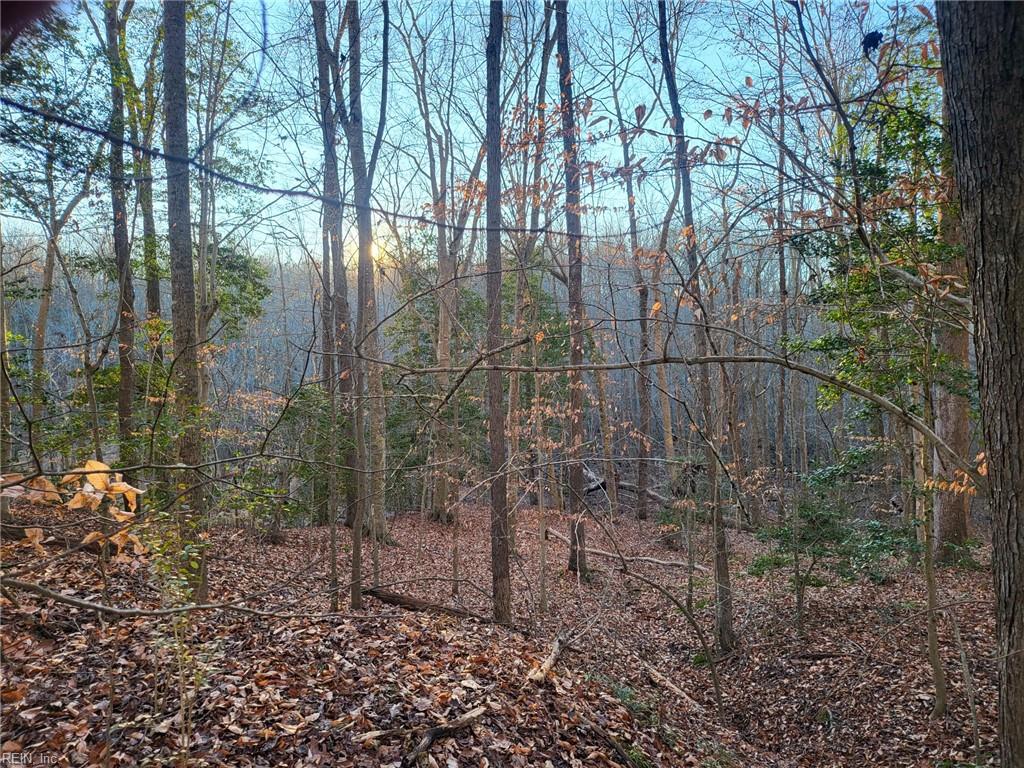 Lot 18 Beech Tree Court Gloucester VA 23061