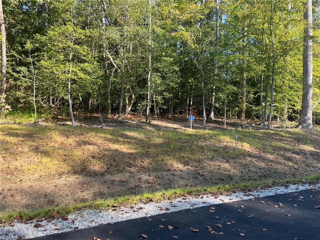 5361 Ridgewood Hills Drive Williamsburg VA 23188