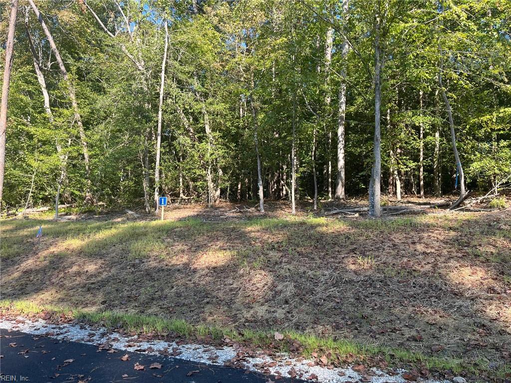 5361 Ridgewood Hills Drive Williamsburg VA 23188