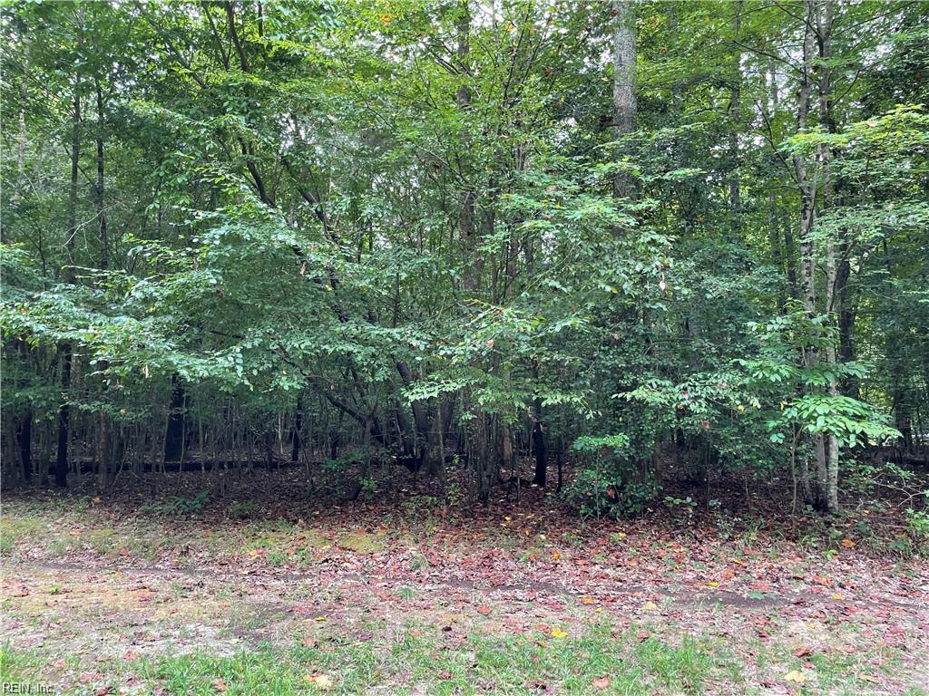 10+AC Beech Creek (10.88ac) Road Gloucester VA 23061