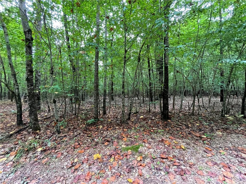 10+AC Beech Creek (10.88ac) Road Gloucester VA 23061