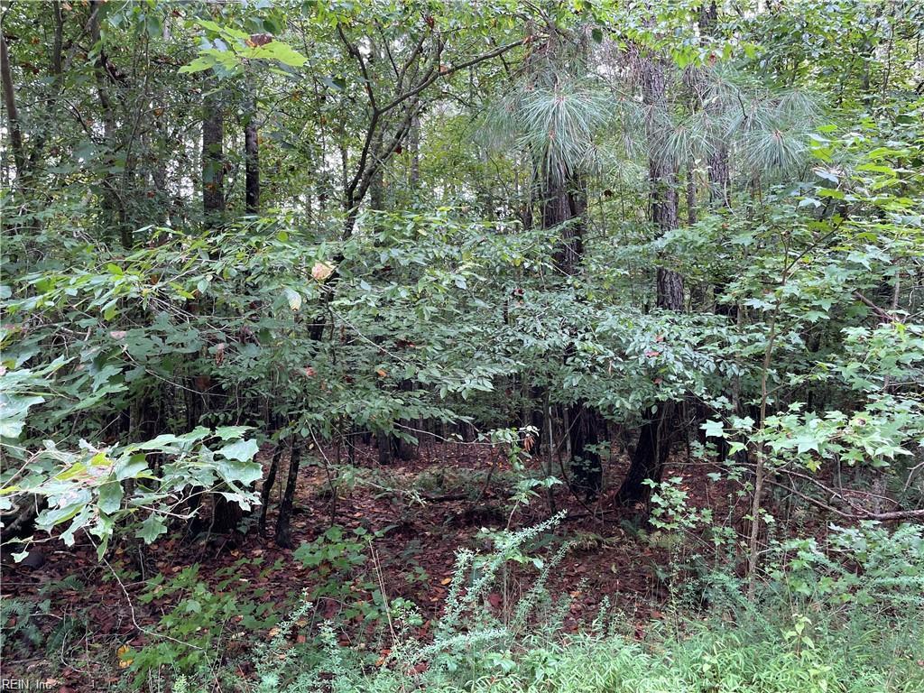 10+AC Beech Creek (10.88ac) Road Gloucester VA 23061