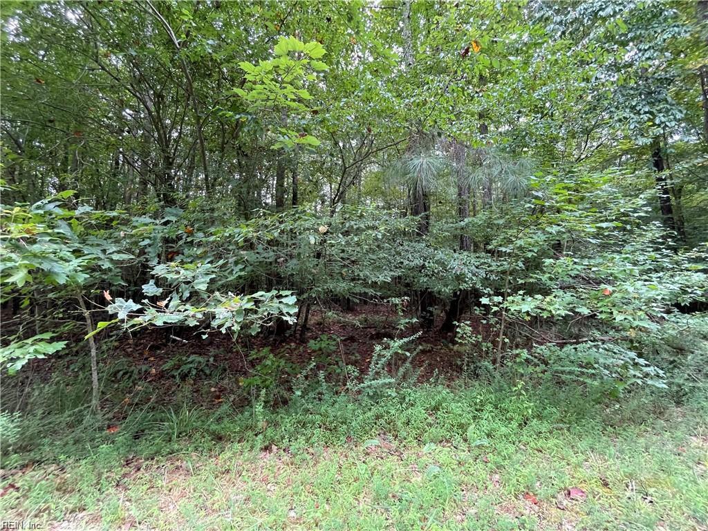 10+AC Beech Creek (10.88ac) Road Gloucester VA 23061