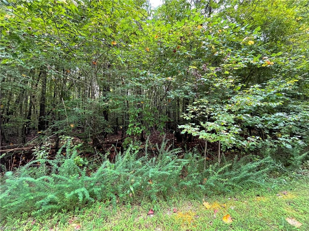 10+AC Beech Creek (10.88ac) Road Gloucester VA 23061