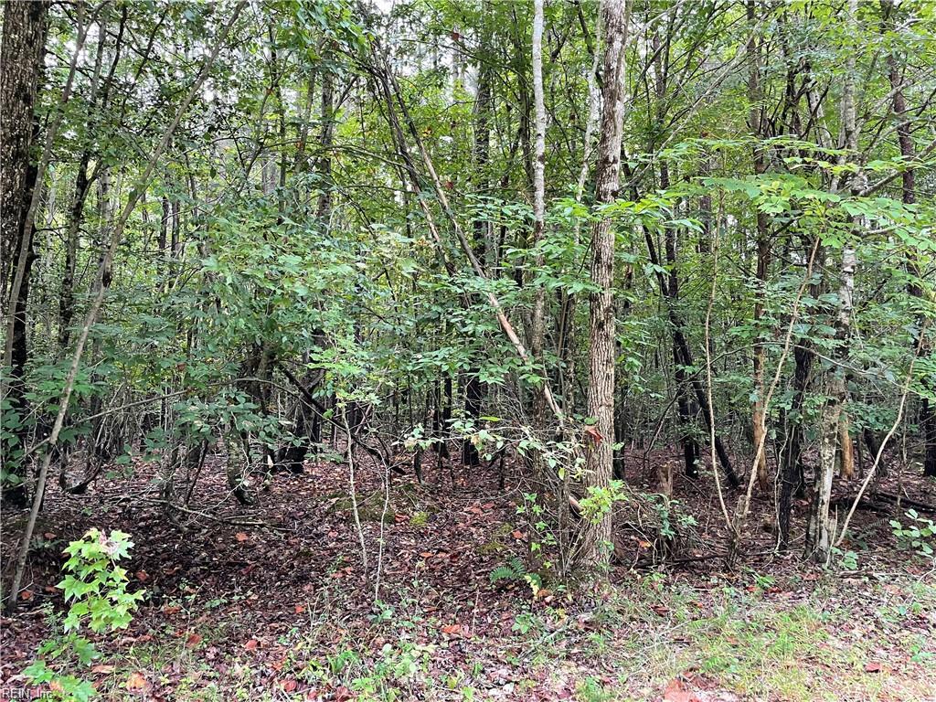 10+AC Beech Creek (10.88ac) Road Gloucester VA 23061