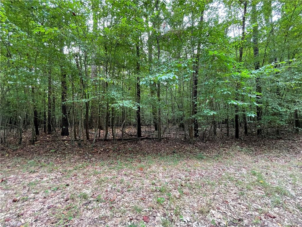 10+AC Beech Creek (10.88ac) Road Gloucester VA 23061