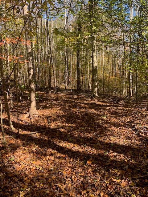 17+AC T.c. Walker Road (Off Of). Route 629 Lane Gloucester VA 23061